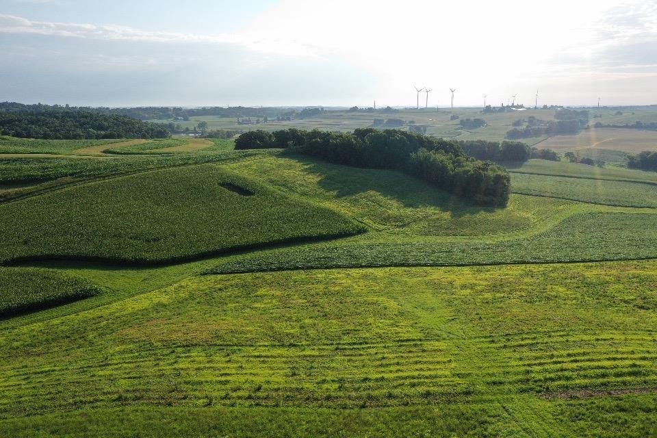 67.82 Acres Whippoorwill Road