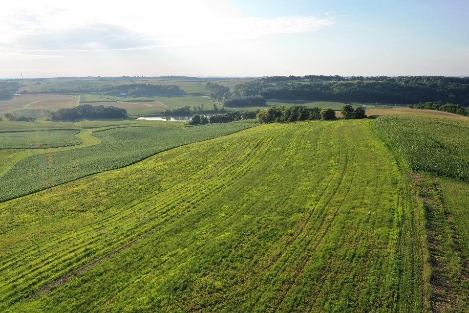 67.82 Acres Whippoorwill Road