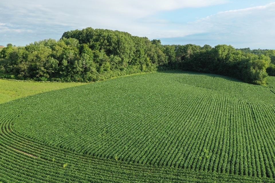 67.82 Acres Whippoorwill Road