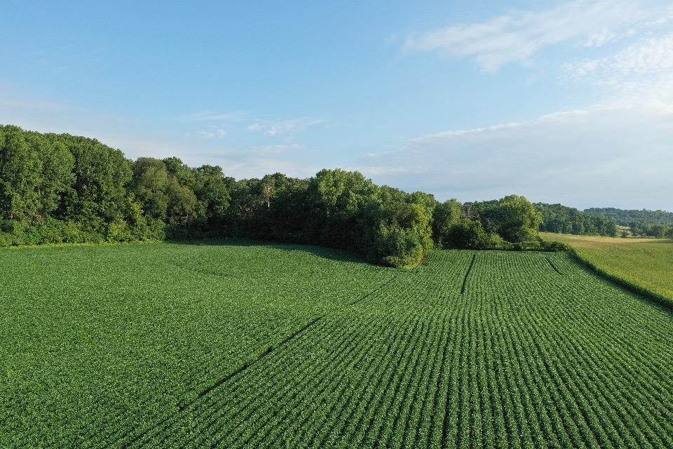 67.82 Acres Whippoorwill Road