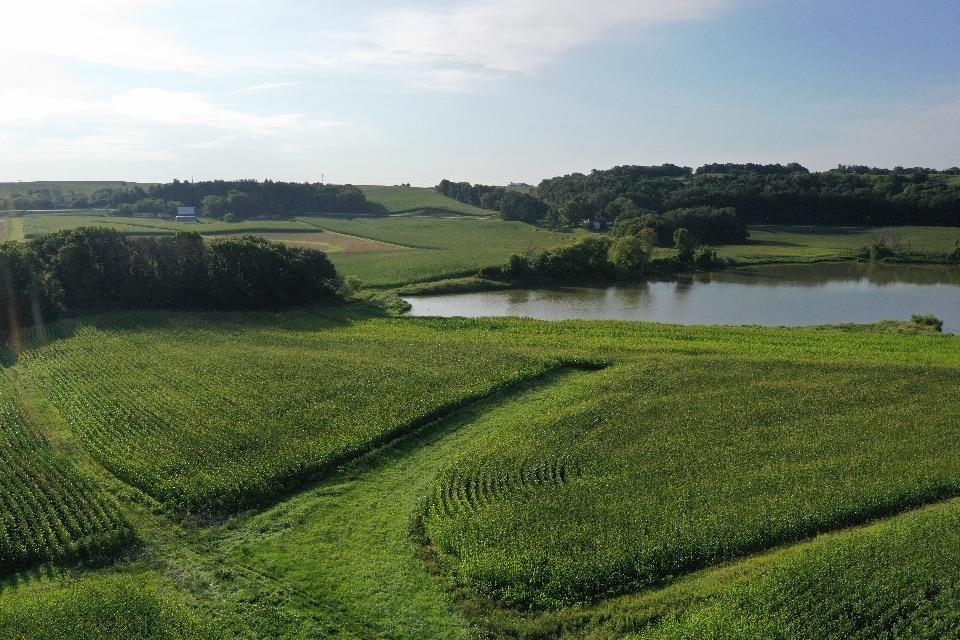 67.82 Acres Whippoorwill Road