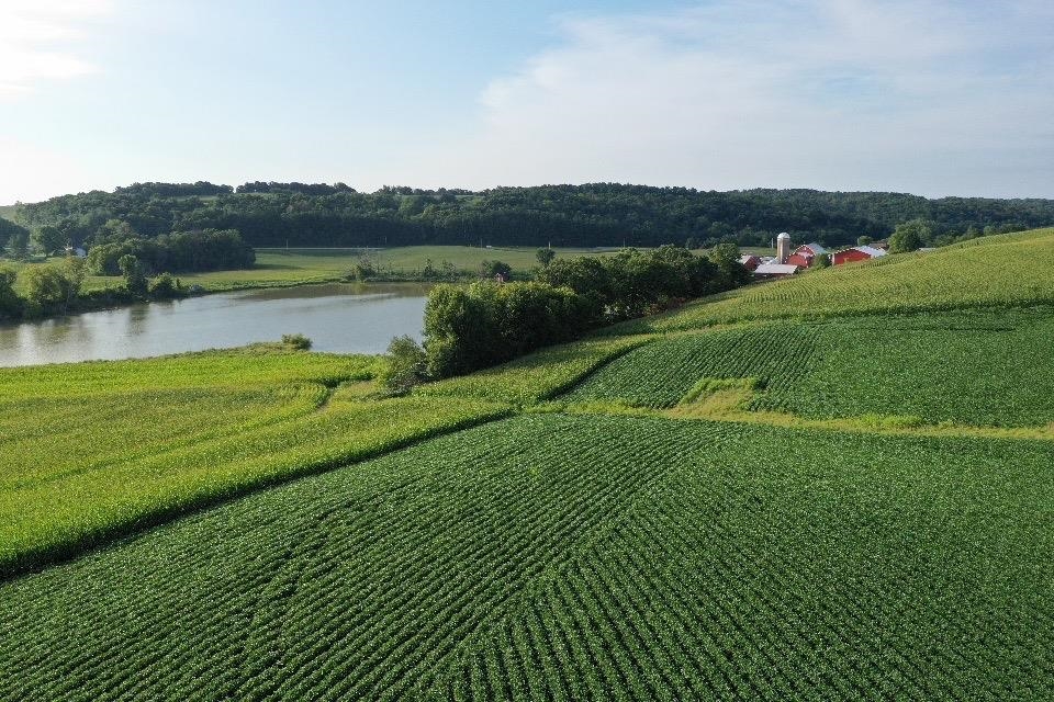 67.82 Acres Whippoorwill Road