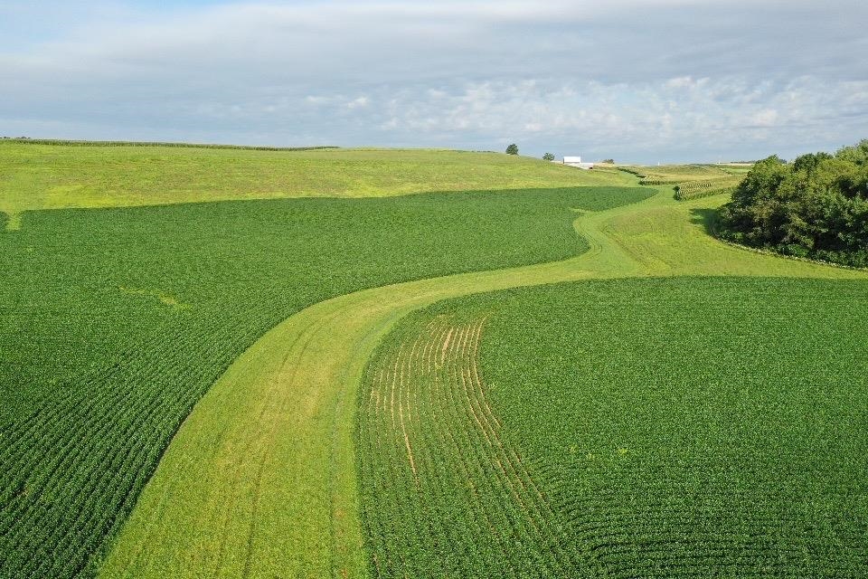 67.82 Acres Whippoorwill Road