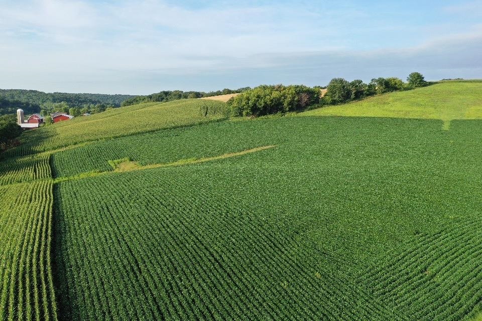 67.82 Acres Whippoorwill Road