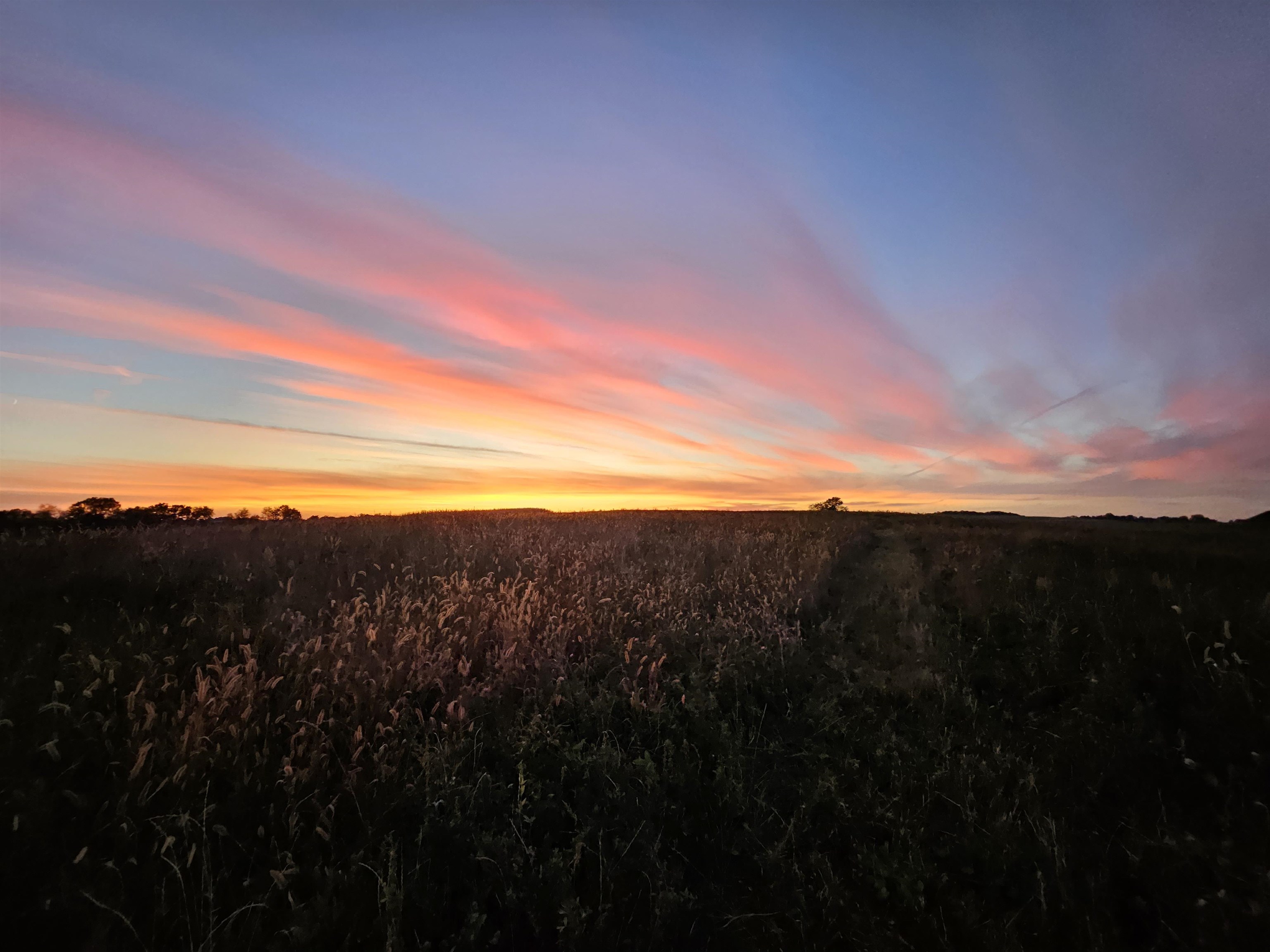 67.82 Acres Whippoorwill Road