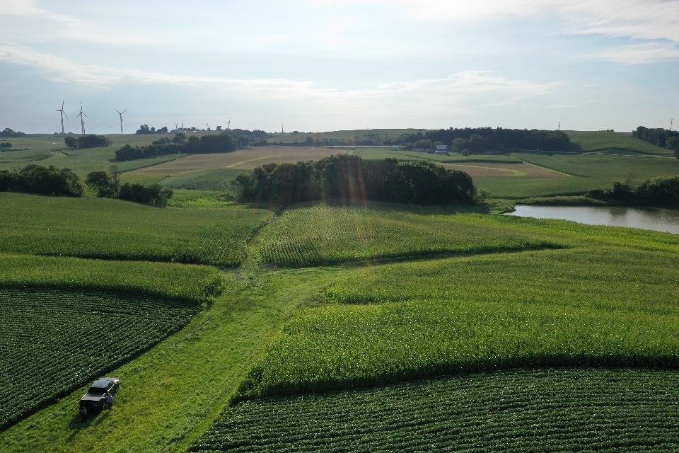 67.82 Acres Whippoorwill Road