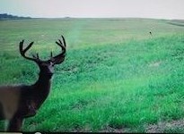67.82 Acres Whippoorwill Road