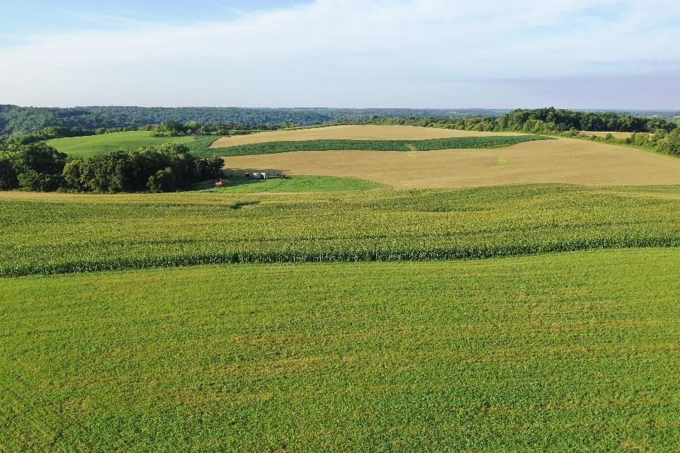 67.82 Acres Whippoorwill Road