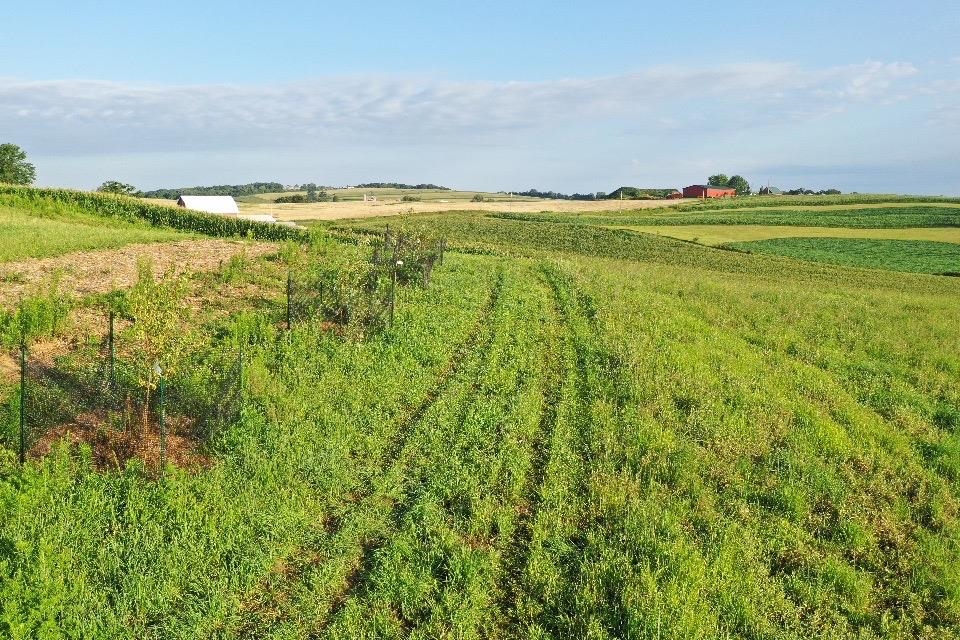 67.82 Acres Whippoorwill Road