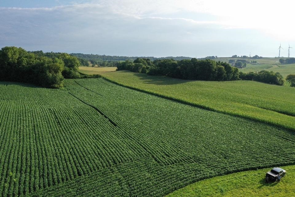 67.82 Acres Whippoorwill Road