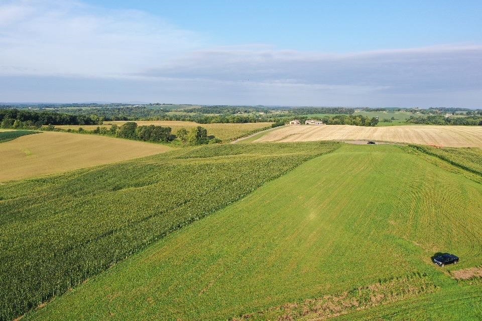 67.82 Acres Whippoorwill Road