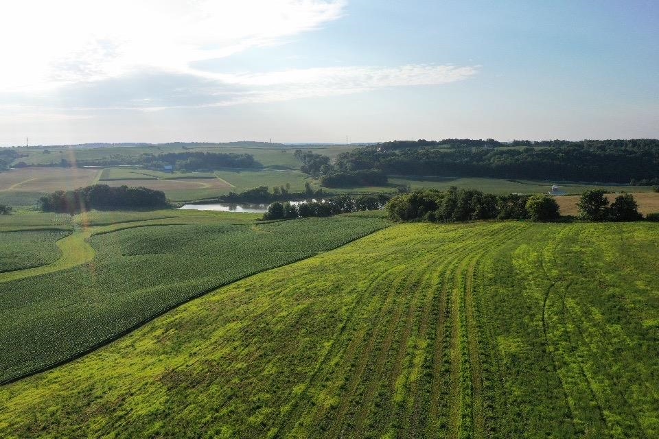 67.82 Acres Whippoorwill Road