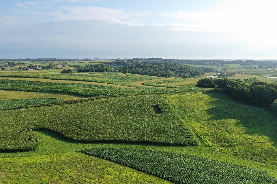 67.82 Acres Whippoorwill Road