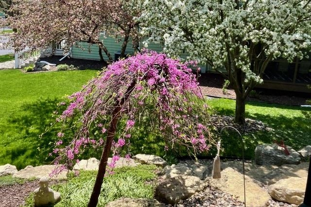 6750 Erdman Boulevard