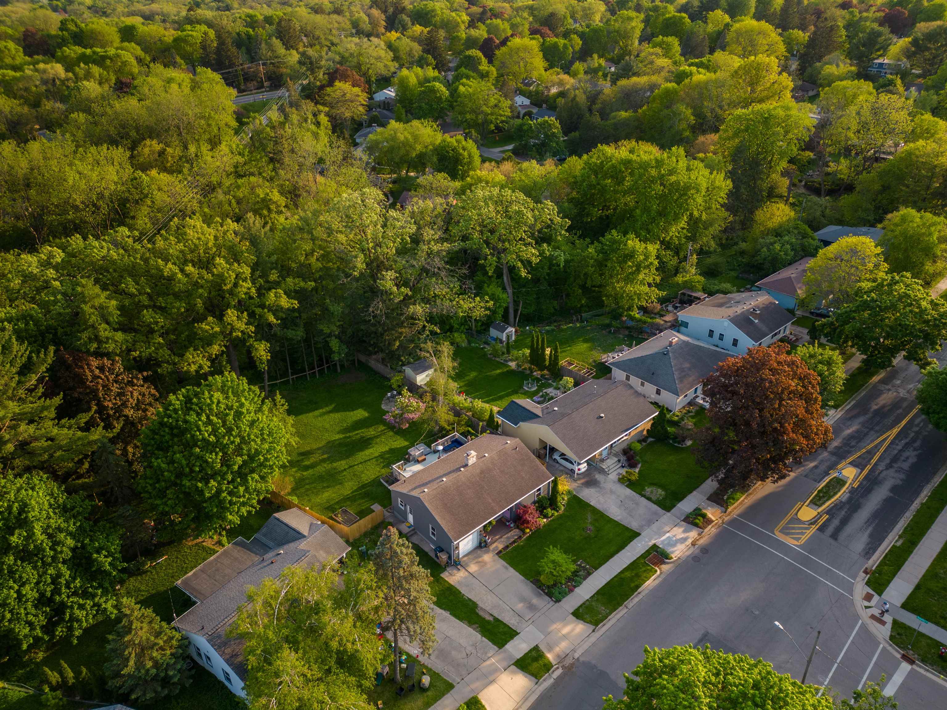 4005 Tokay Boulevard