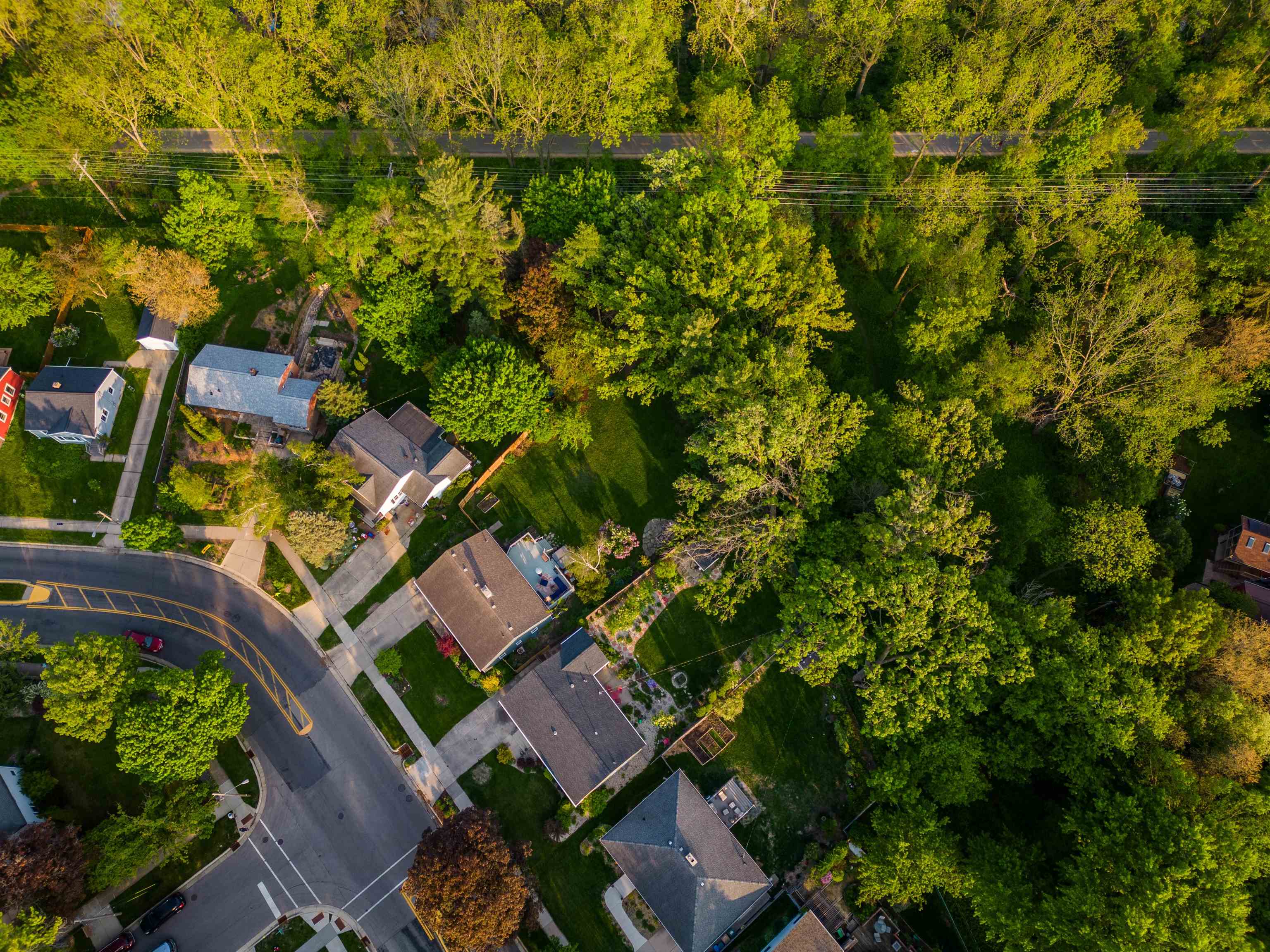 4005 Tokay Boulevard