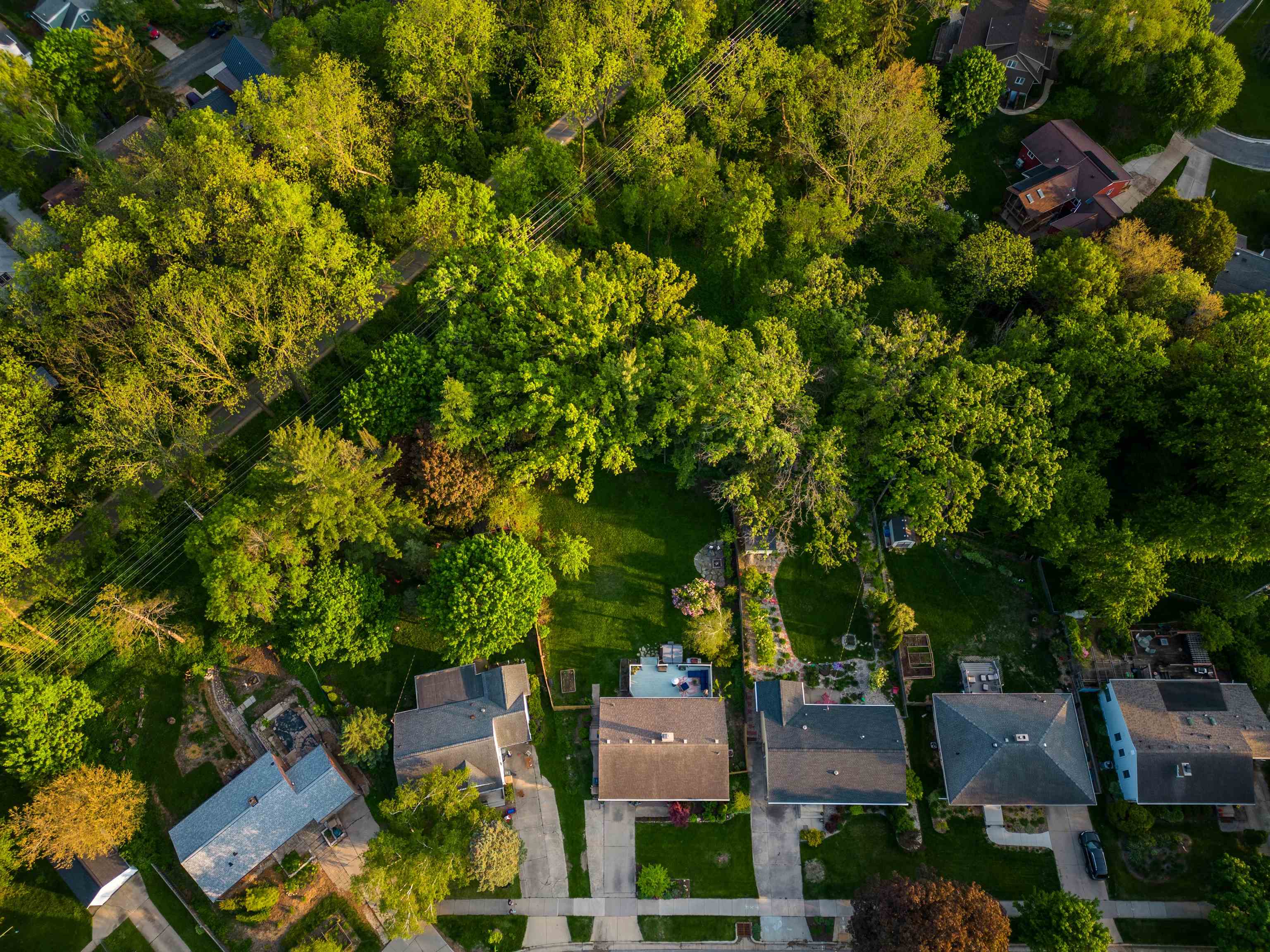 4005 Tokay Boulevard