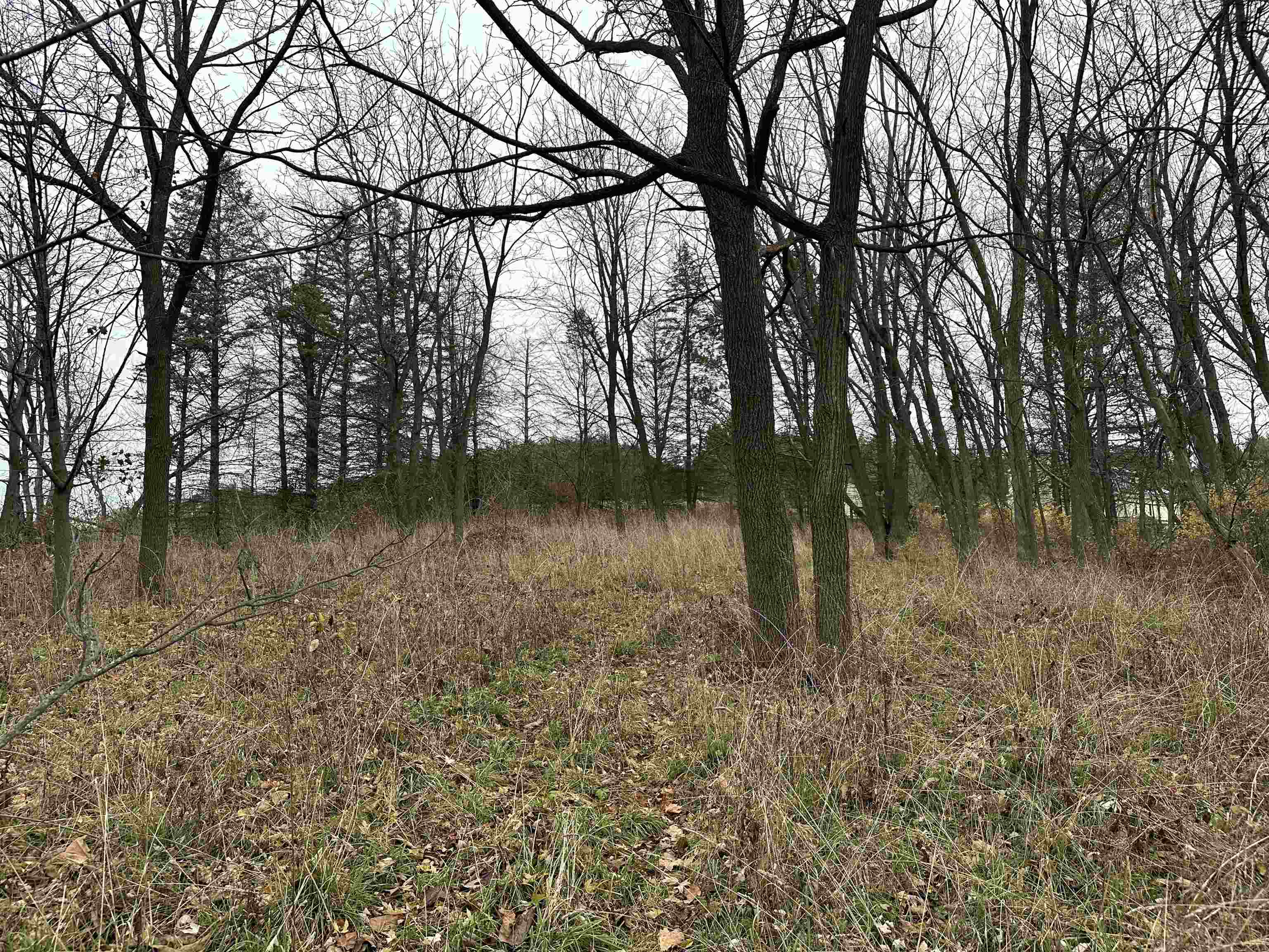 LOT 1 CSM 13252 Ben Franklin Street