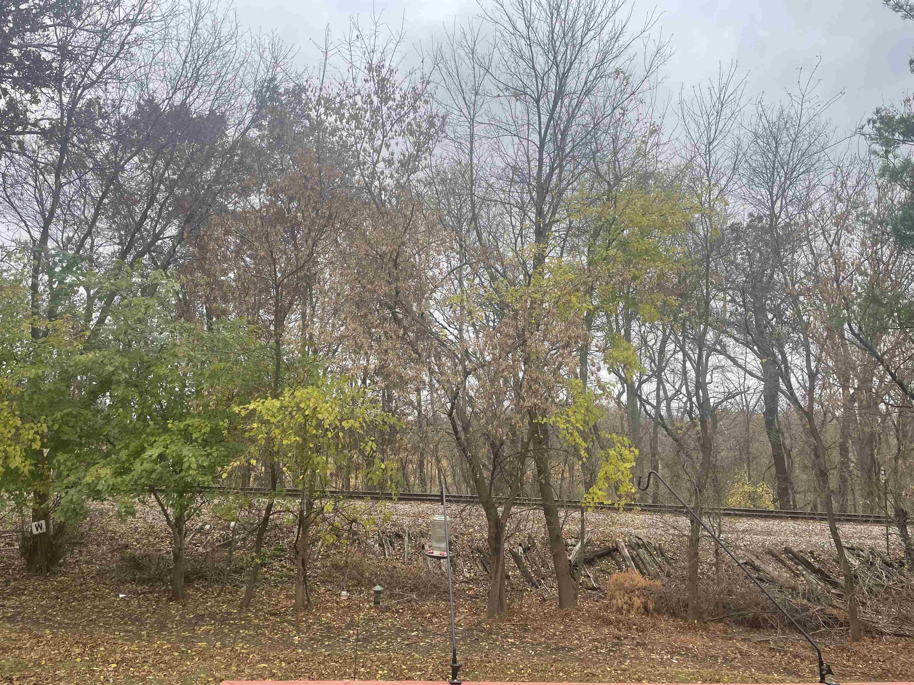 5615 Osborn Drive 5615