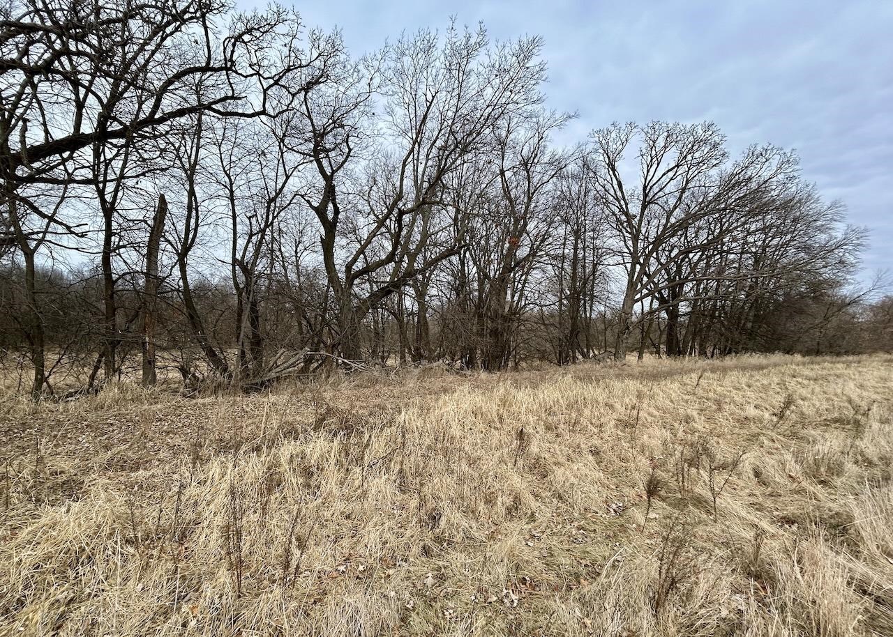 7784 Bluestem Trail
