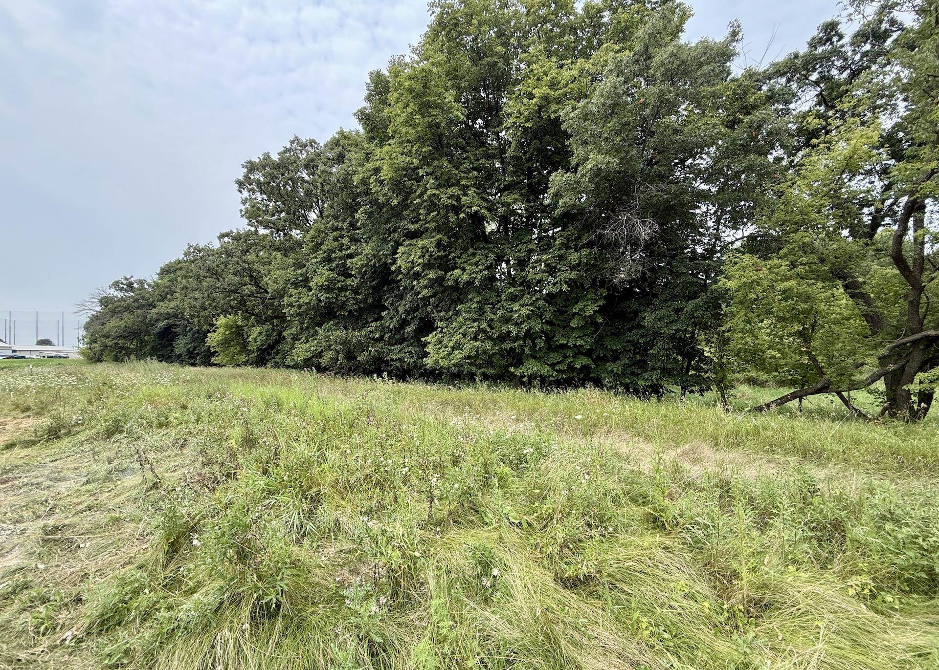 7786 Bluestem Trail