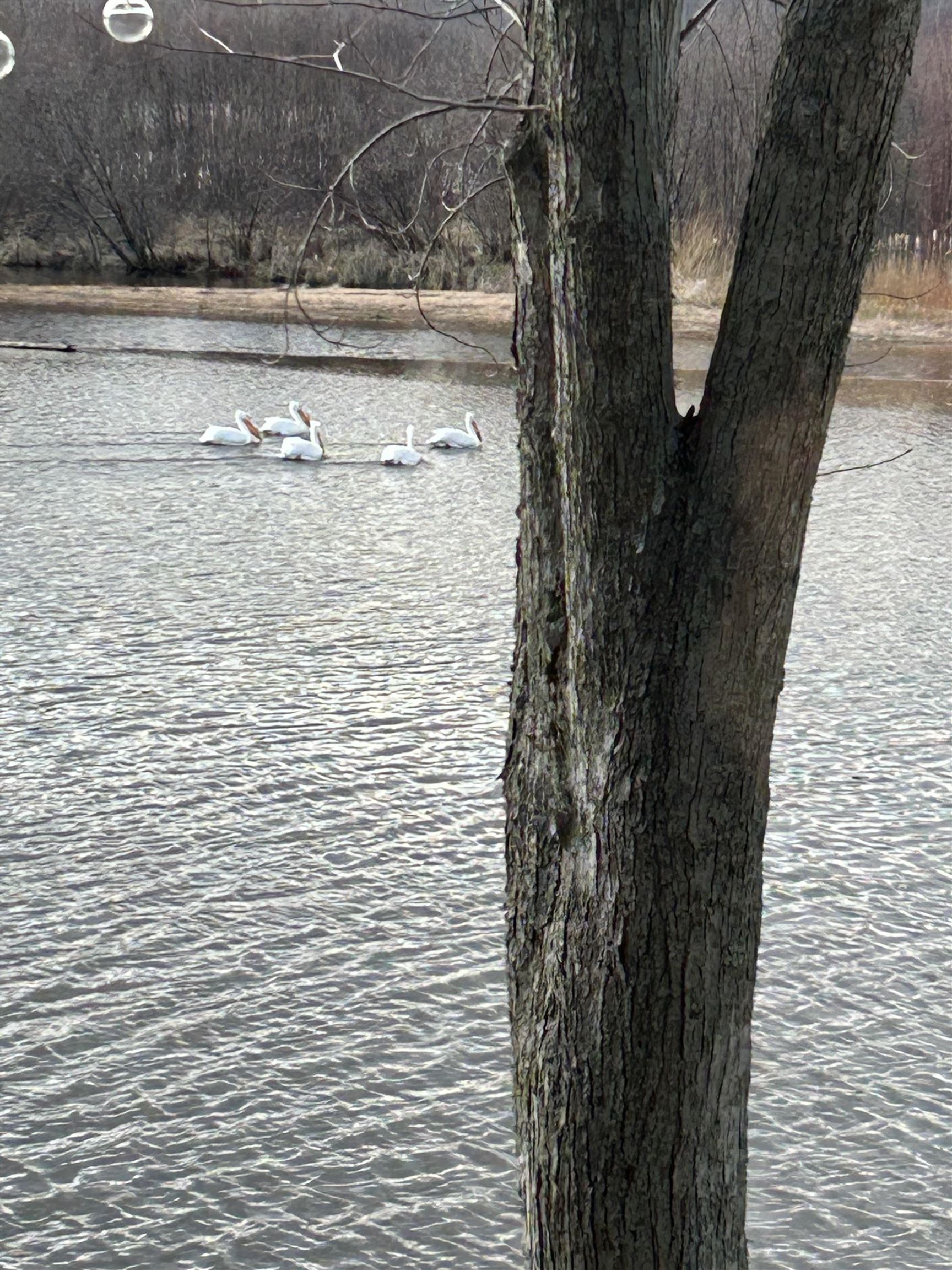 N3789 Tipperary Road