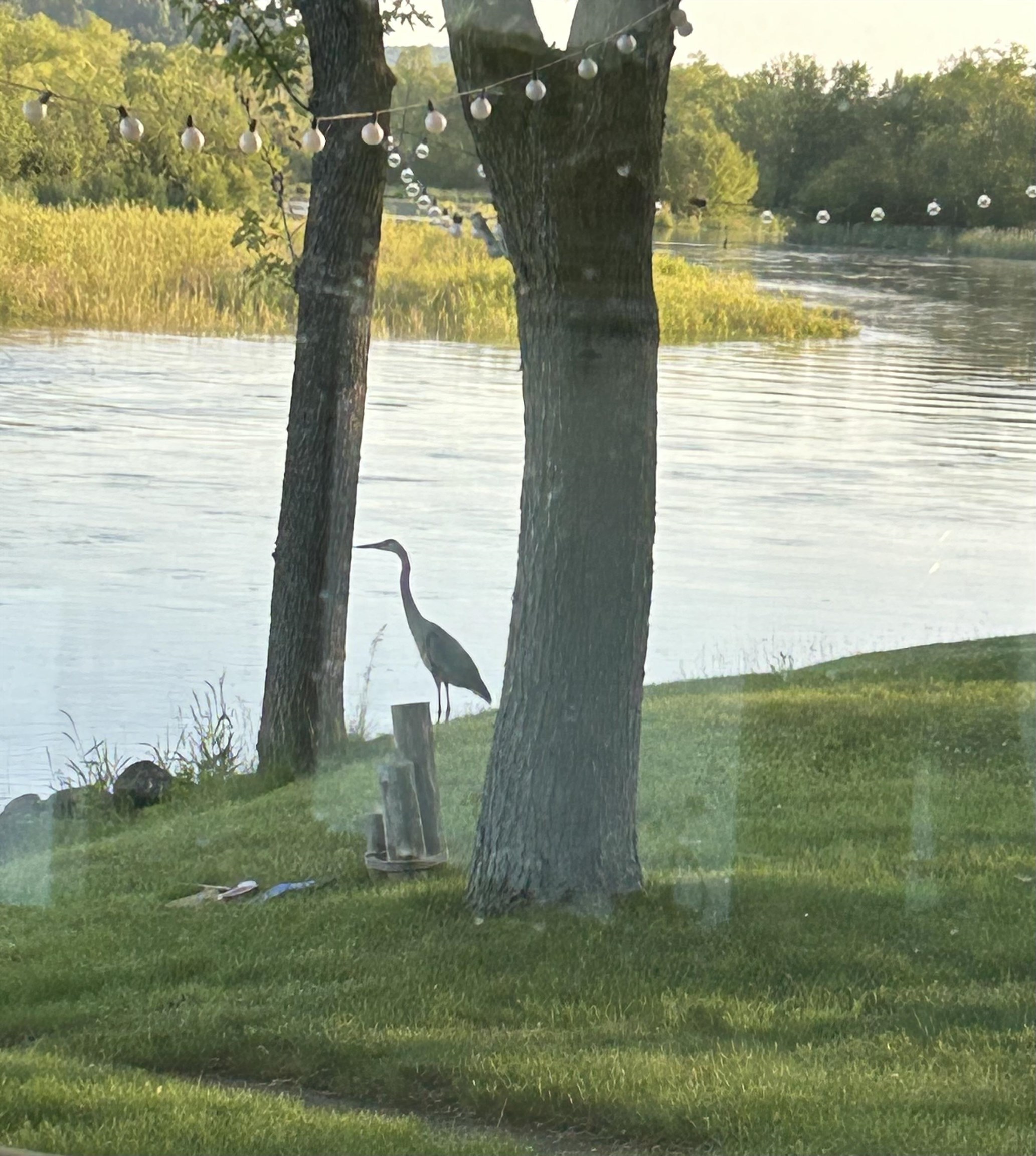 N3789 Tipperary Road