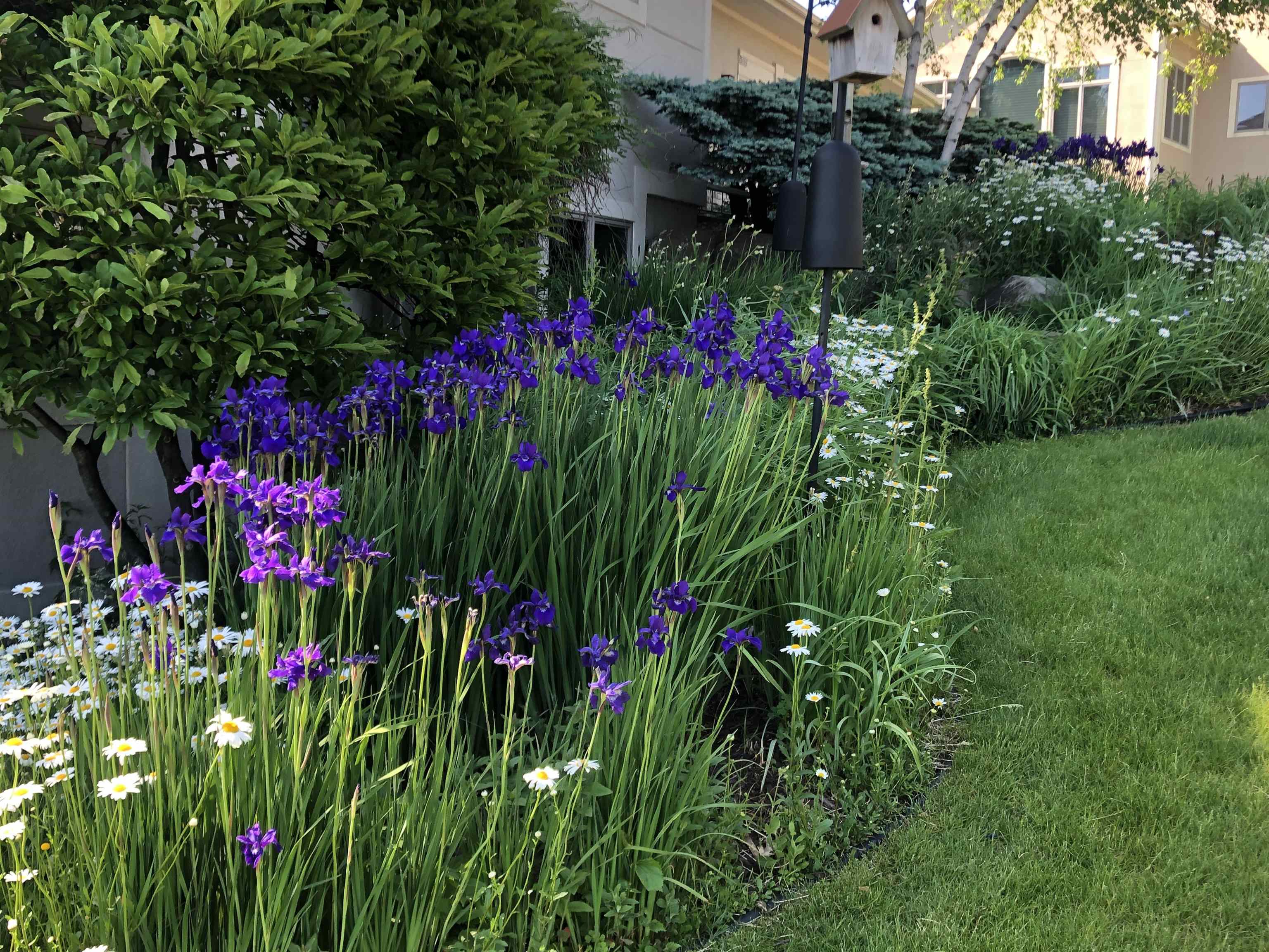 3800 Signature Drive