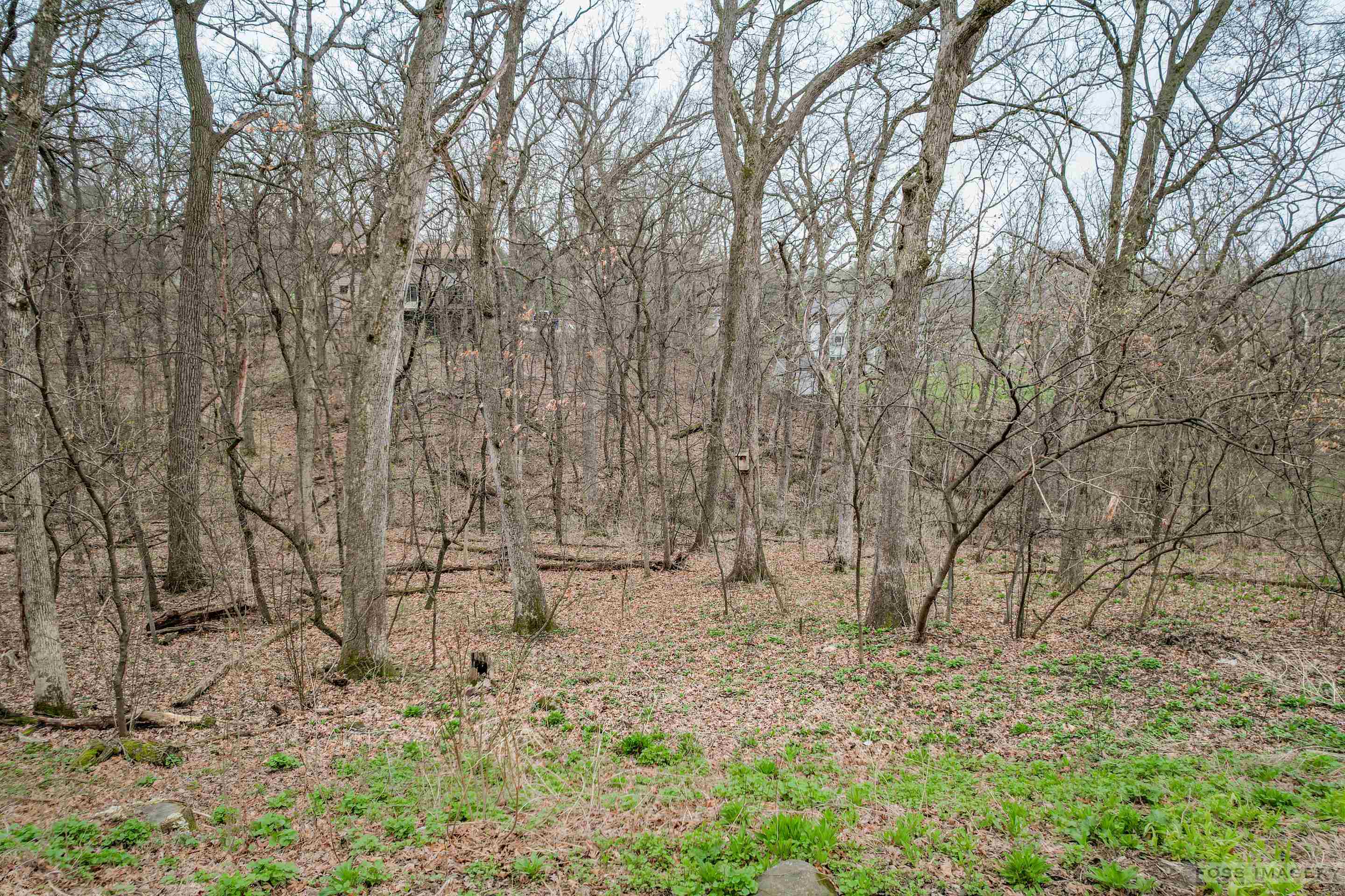 7839 Big Timber Trail