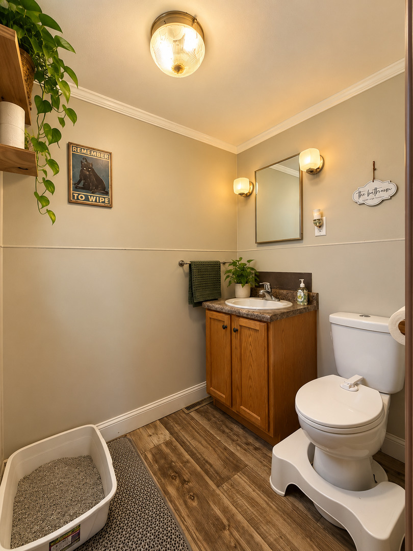 Bathroom with a wood vanity, white toilet, and cat litter box.