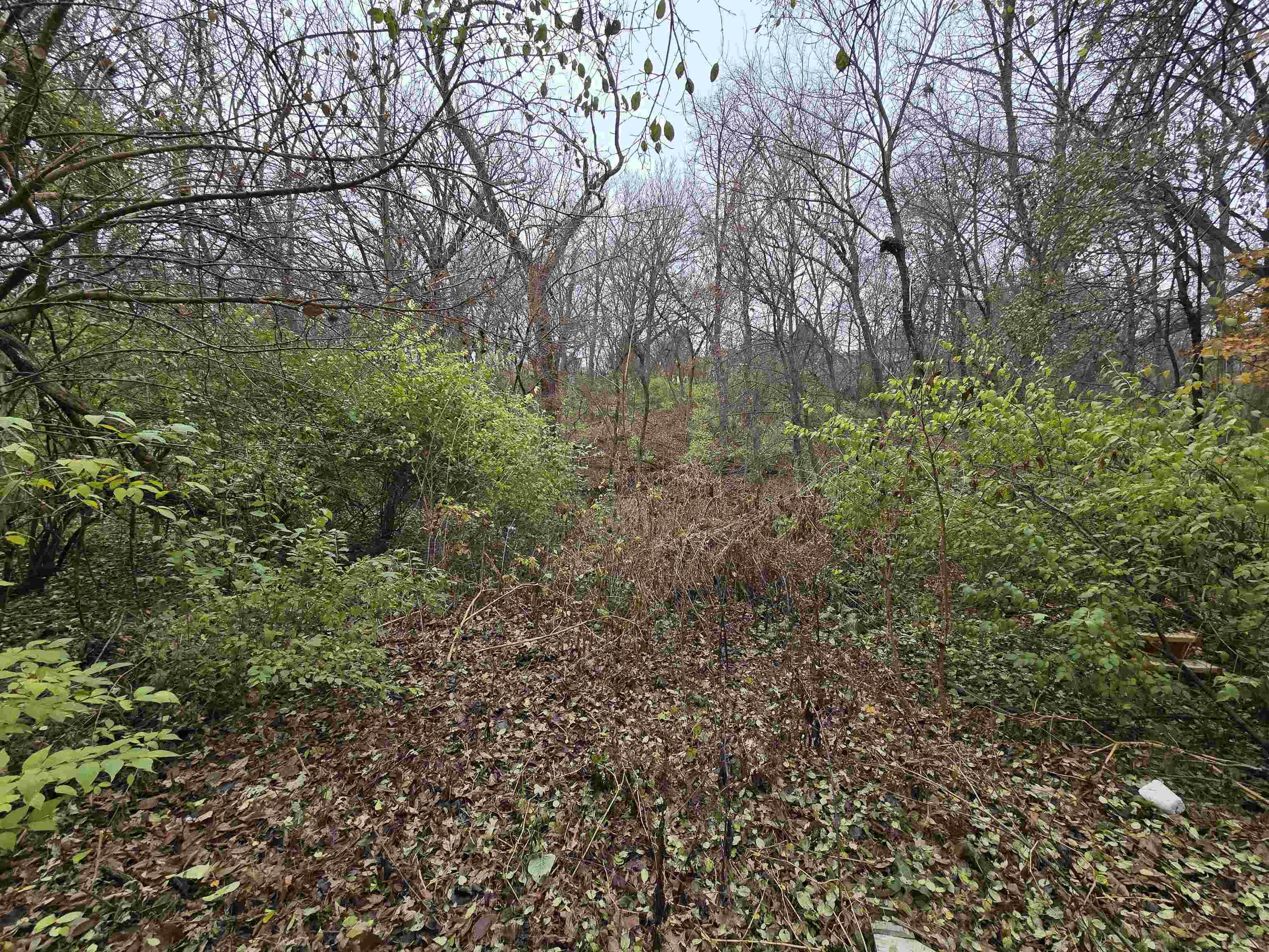 5563 Palisades Parkway