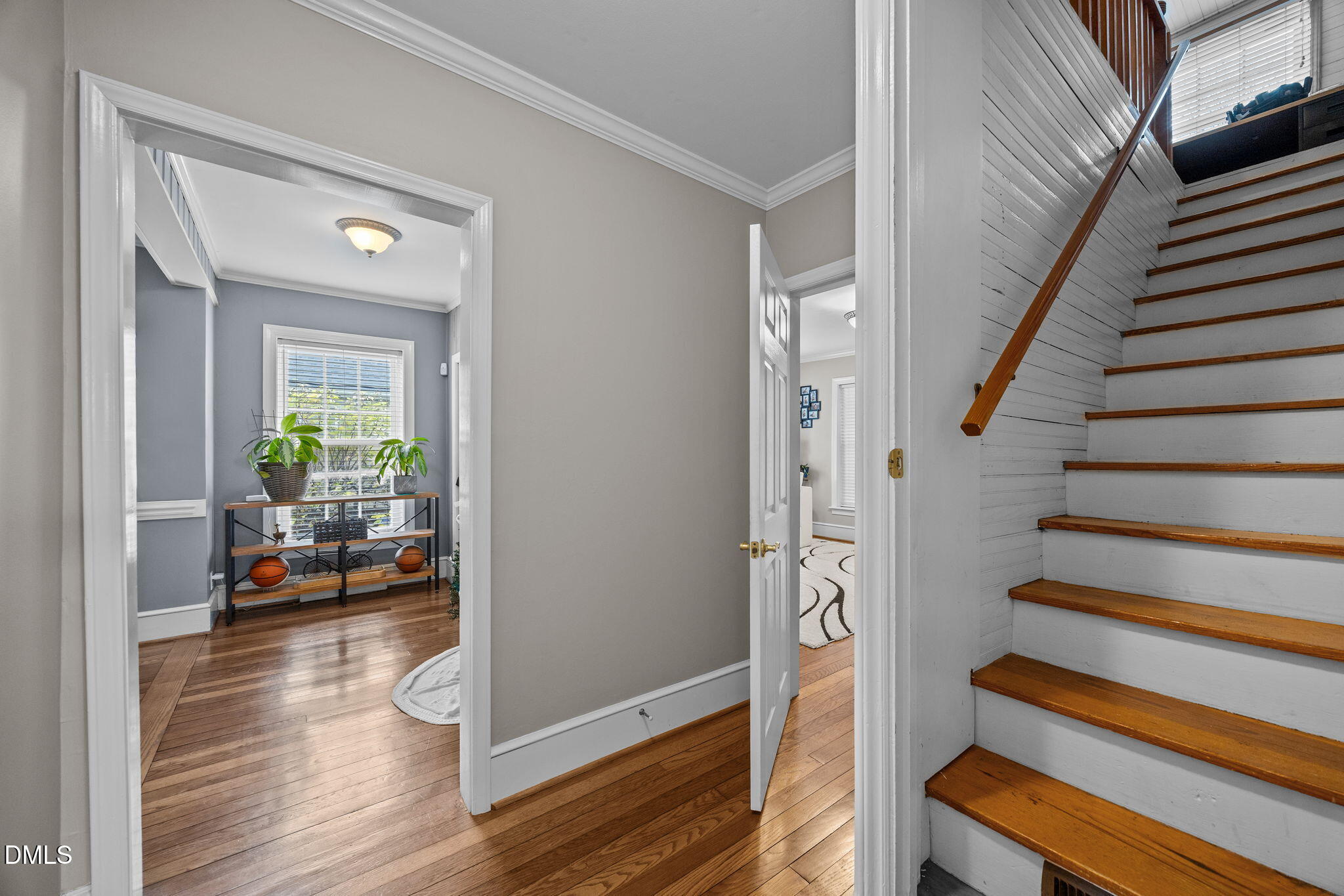 2643 Trail Five