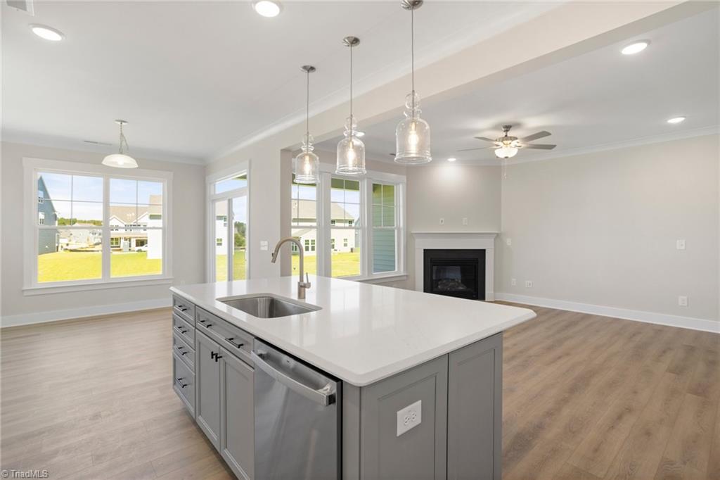1129 Capulet Drive