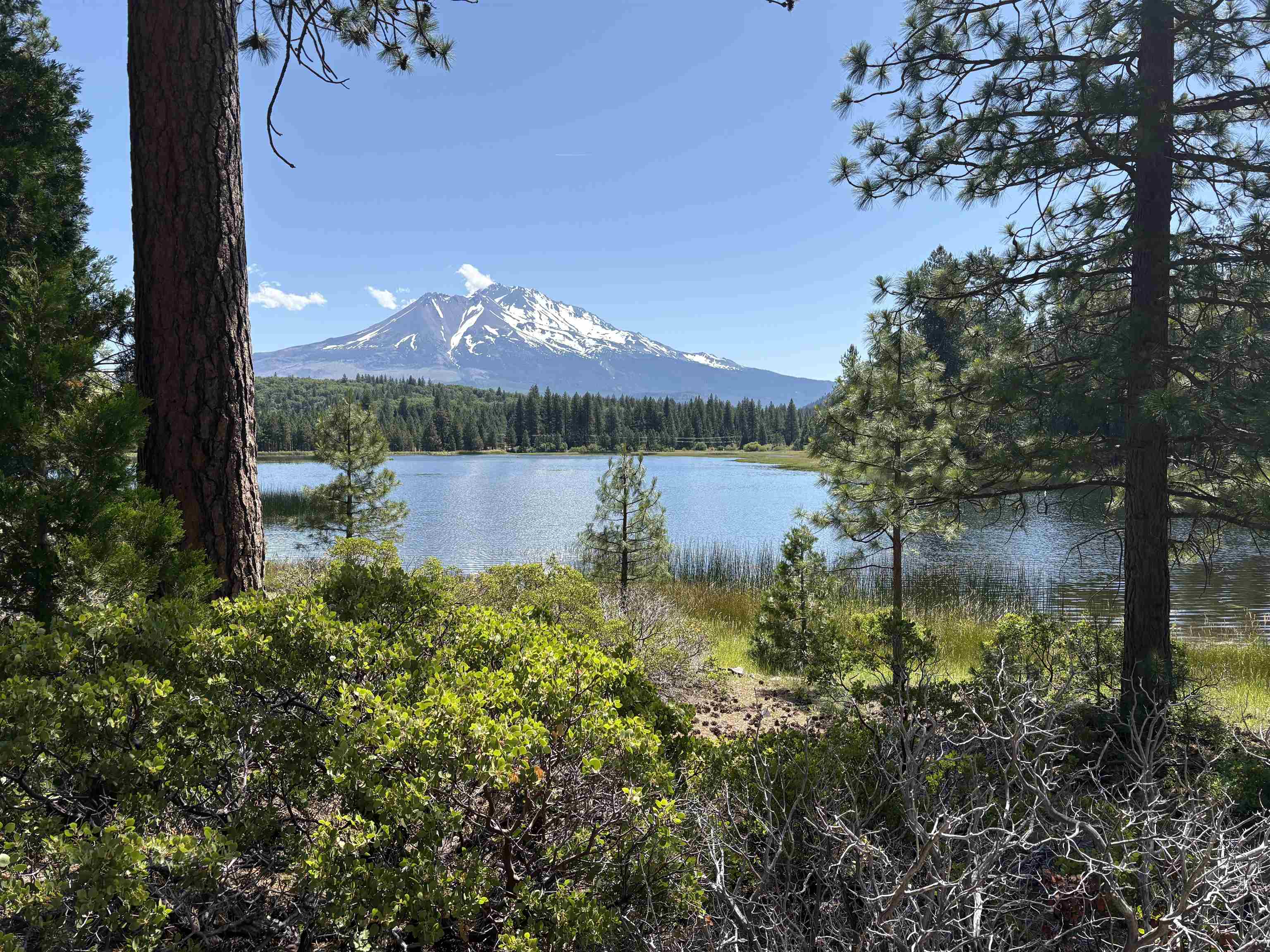 2331 Lakewood Ranch Rd