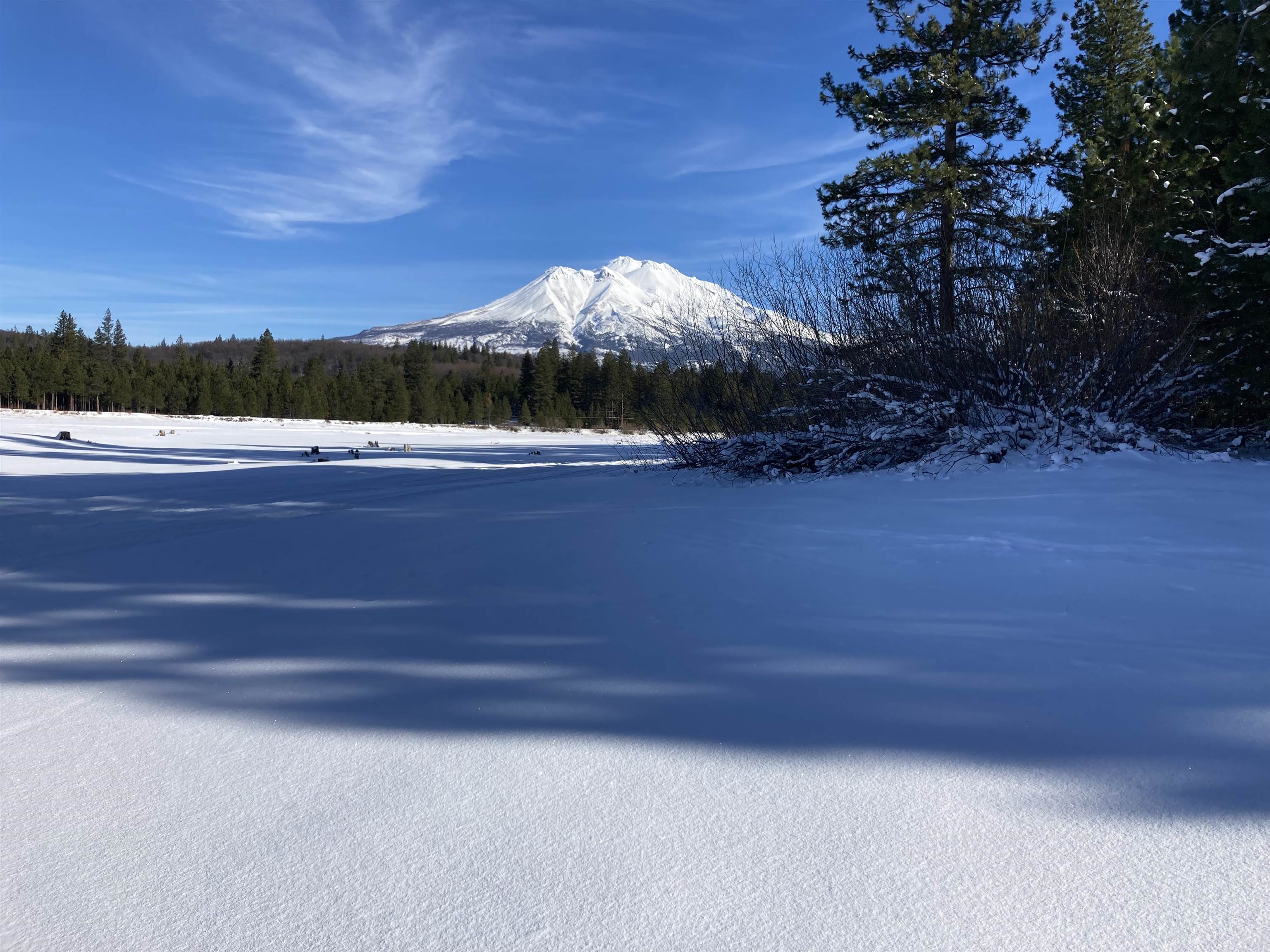 2331 Lakewood Ranch Rd