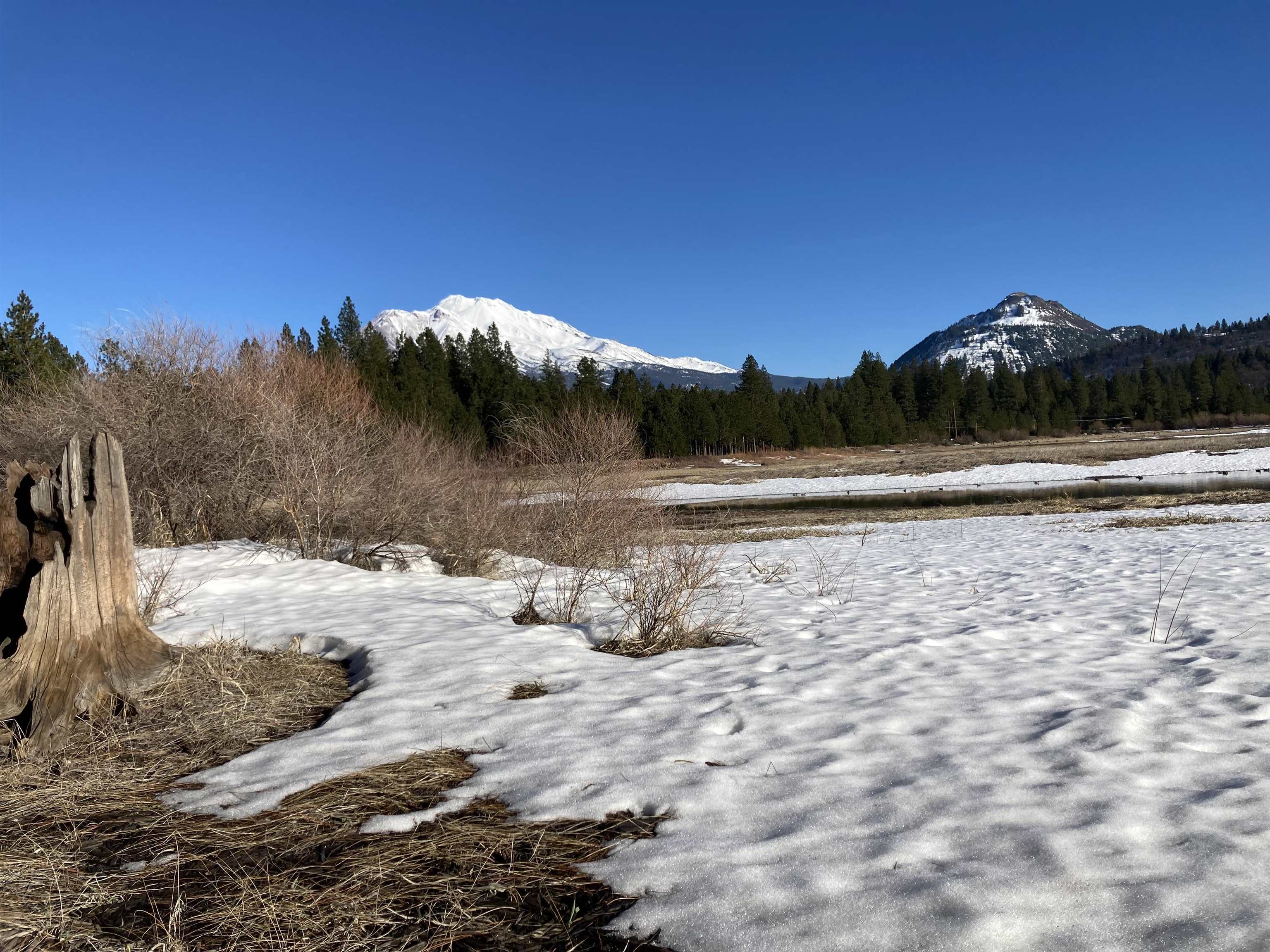 2331 Lakewood Ranch Rd