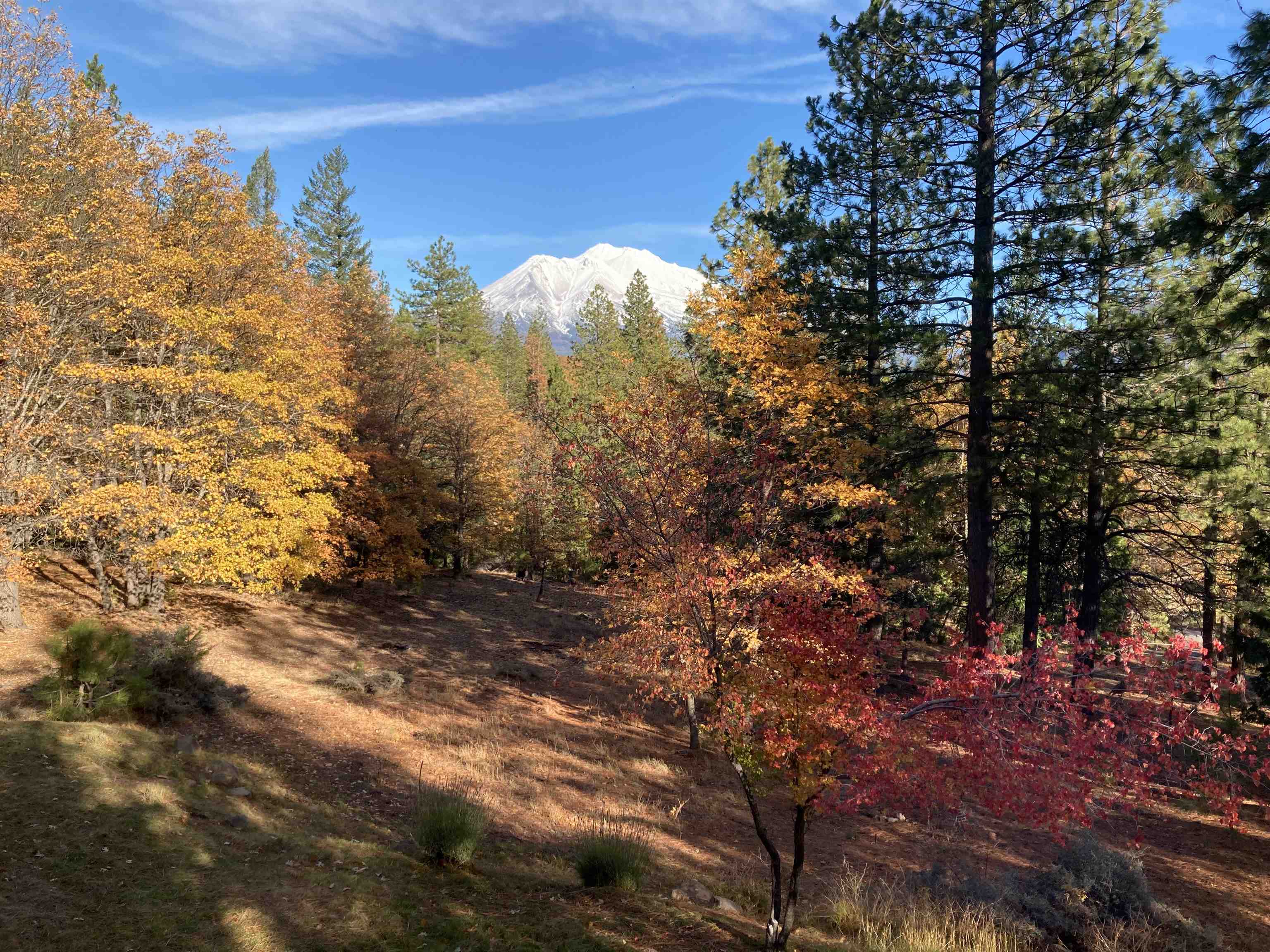 2331 Lakewood Ranch Rd