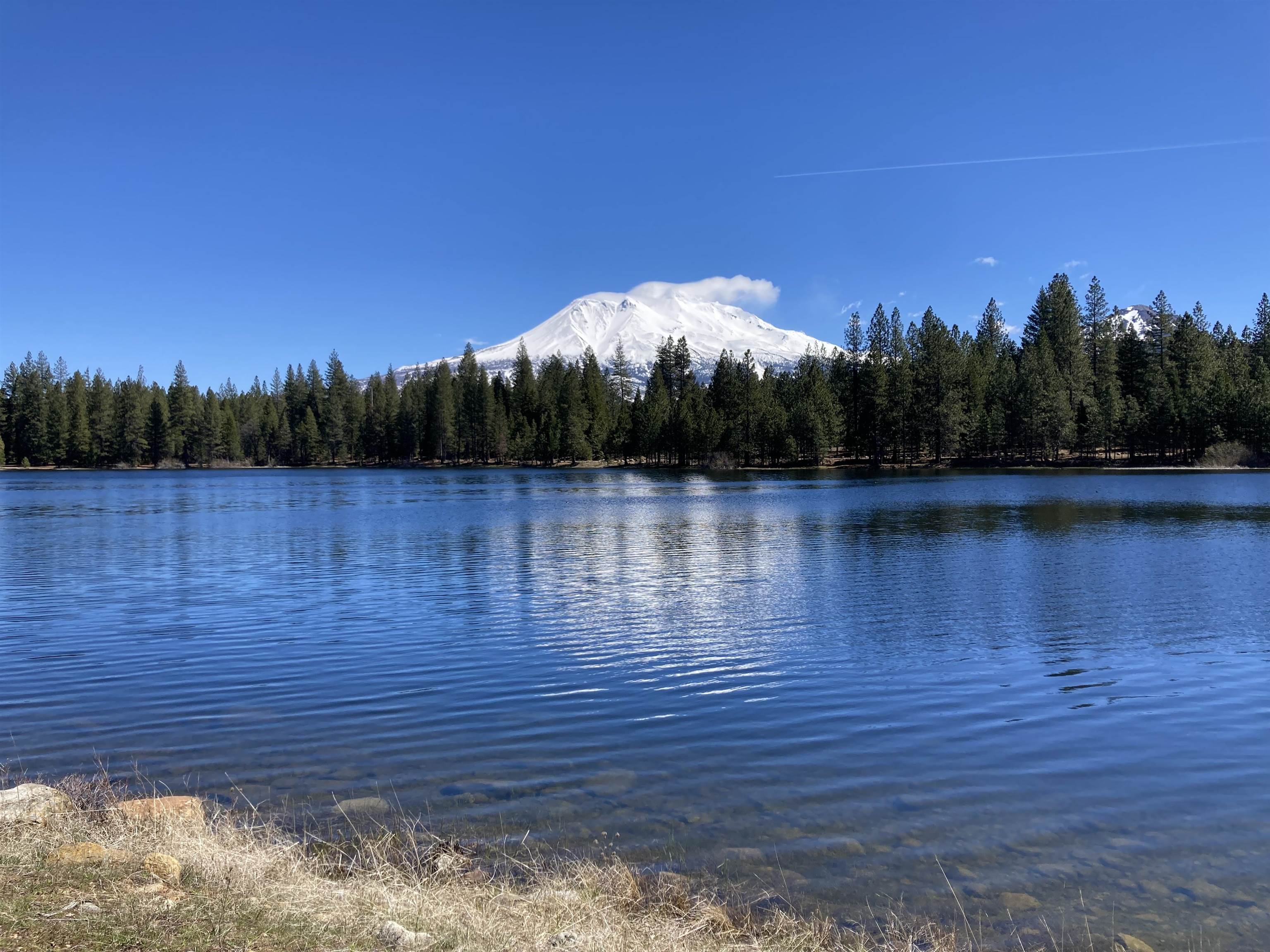 2331 Lakewood Ranch Rd