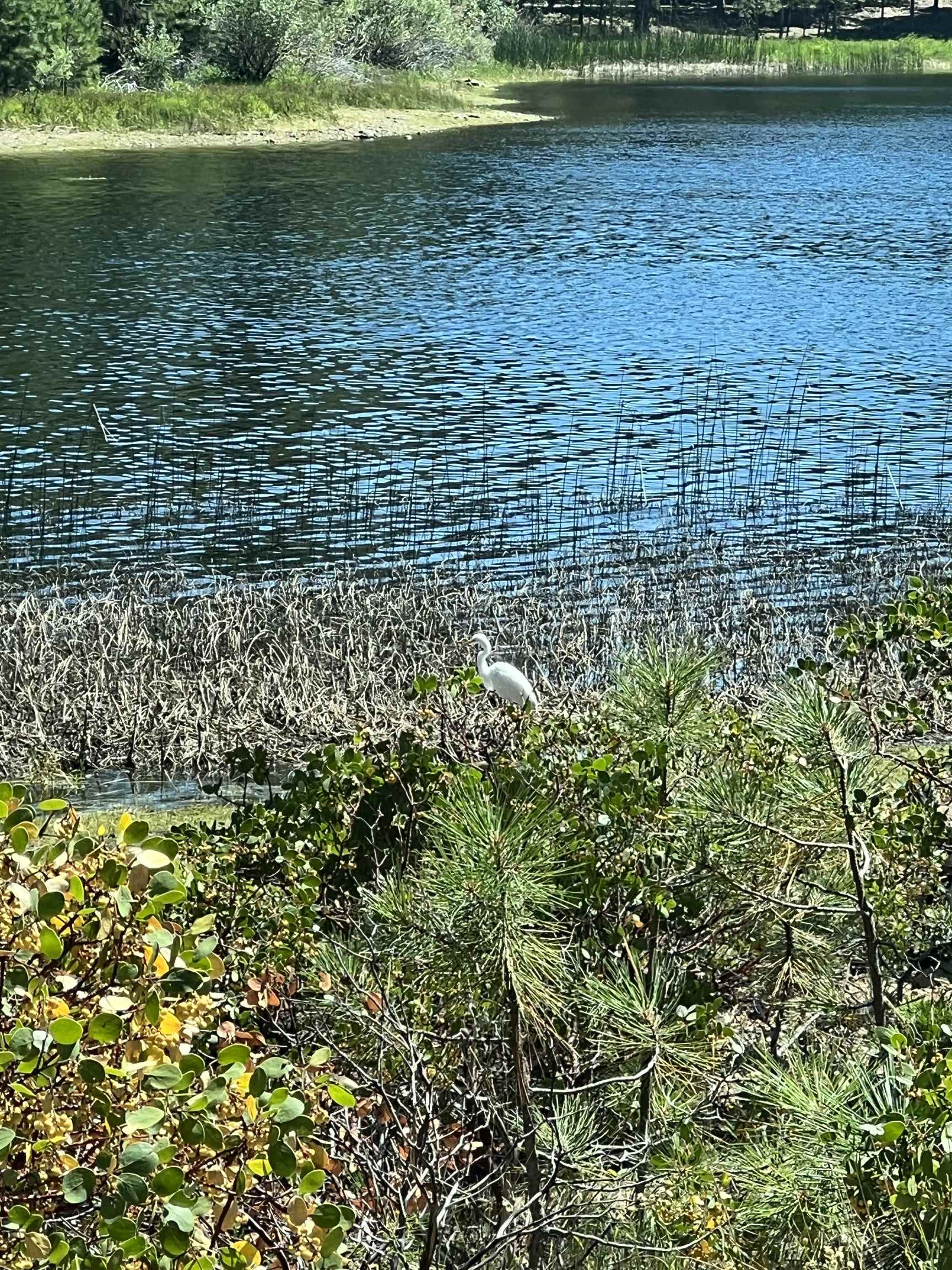 2331 Lakewood Ranch Rd