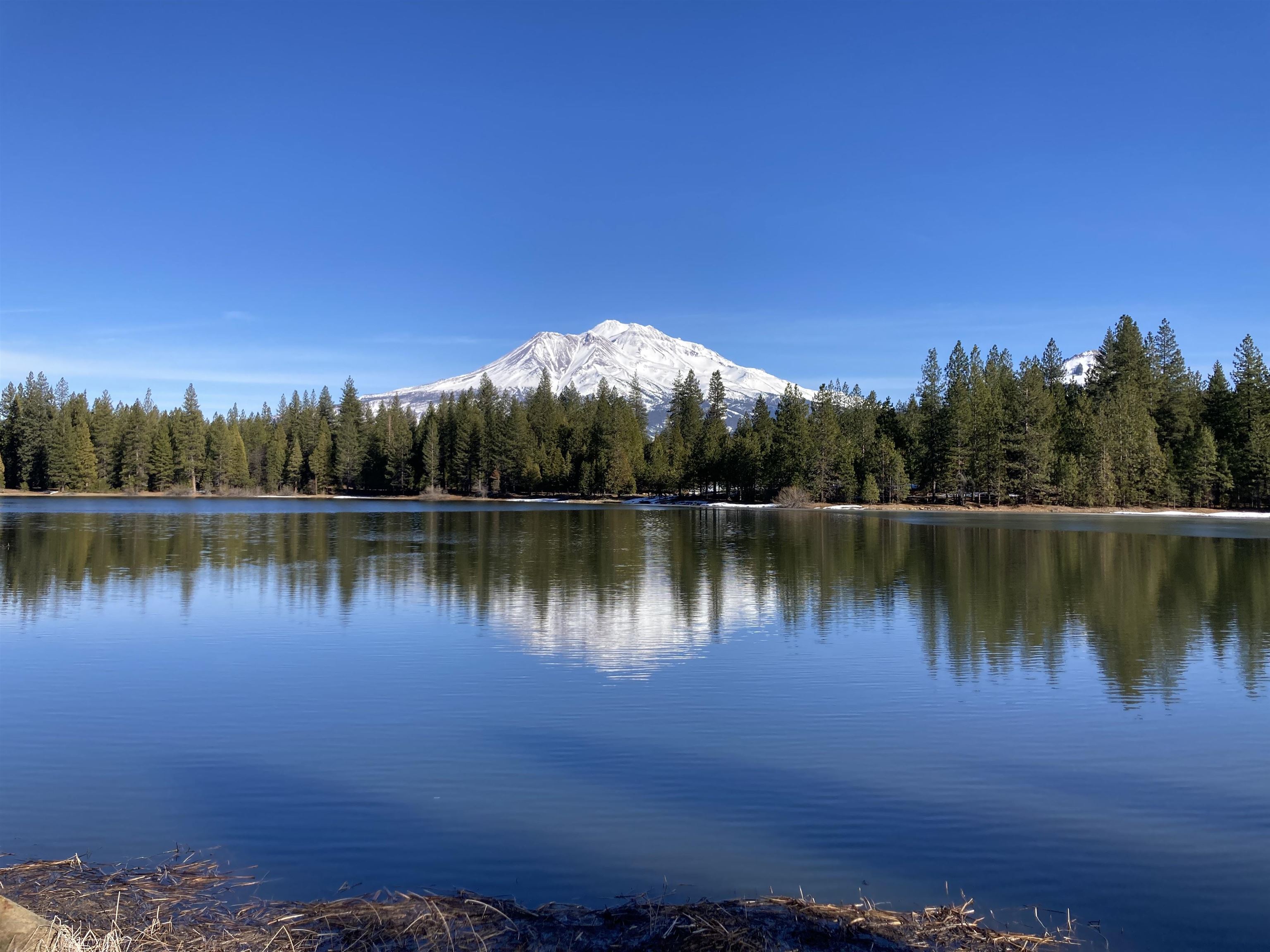 2331 Lakewood Ranch Rd