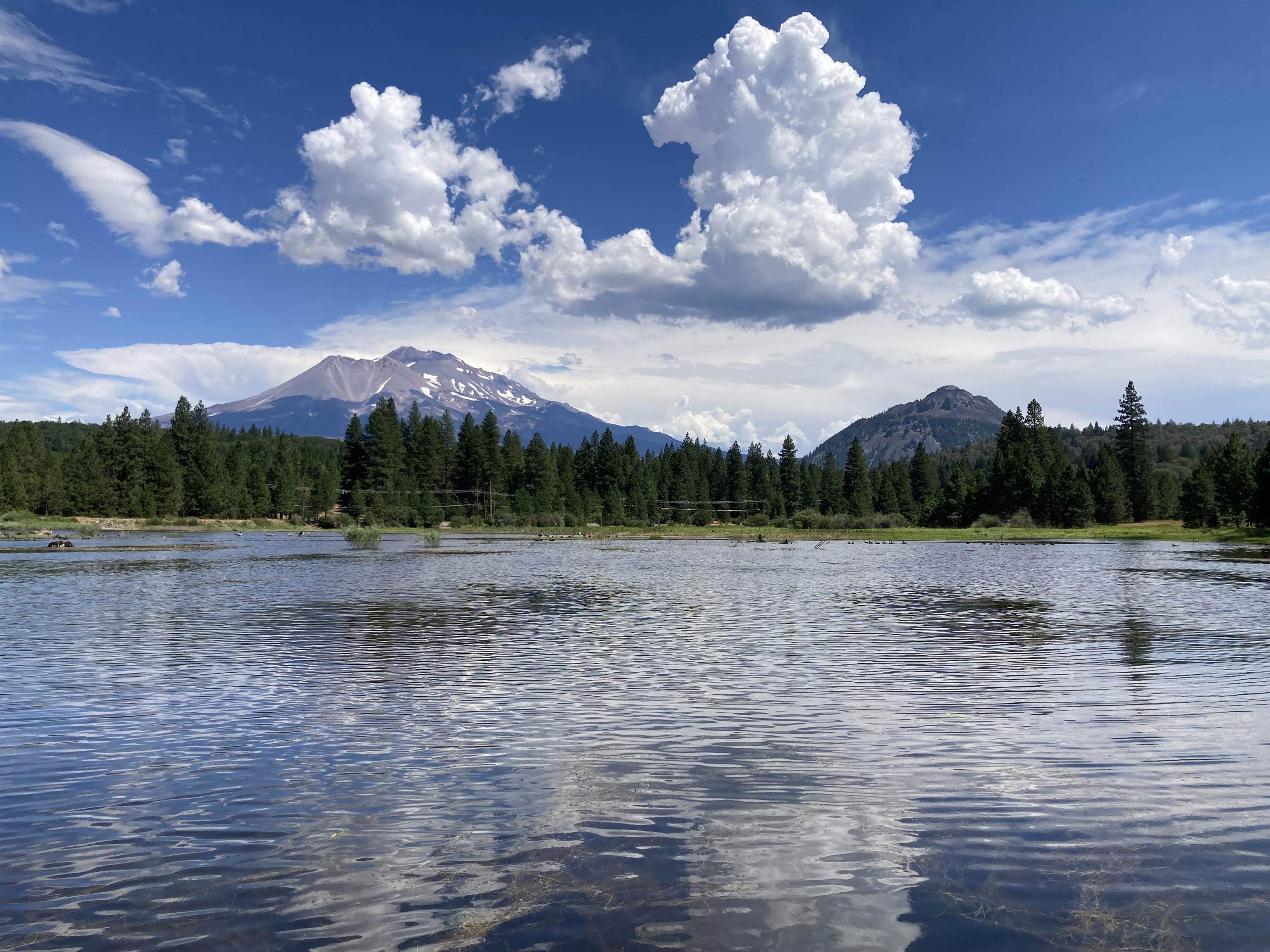 2331 Lakewood Ranch Rd