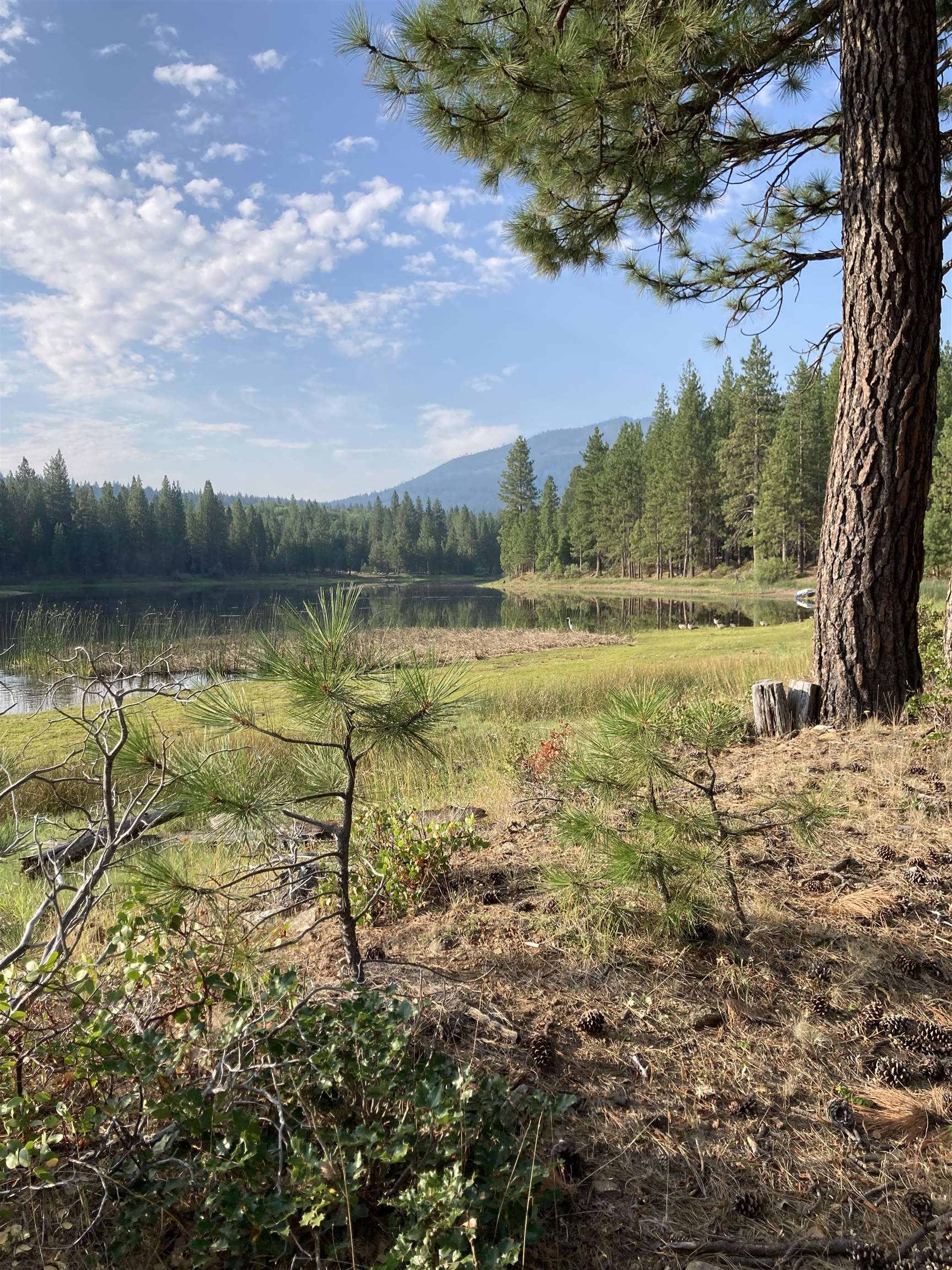 2331 Lakewood Ranch Rd