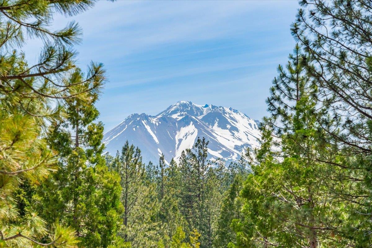 000 Eddy Creek Rd