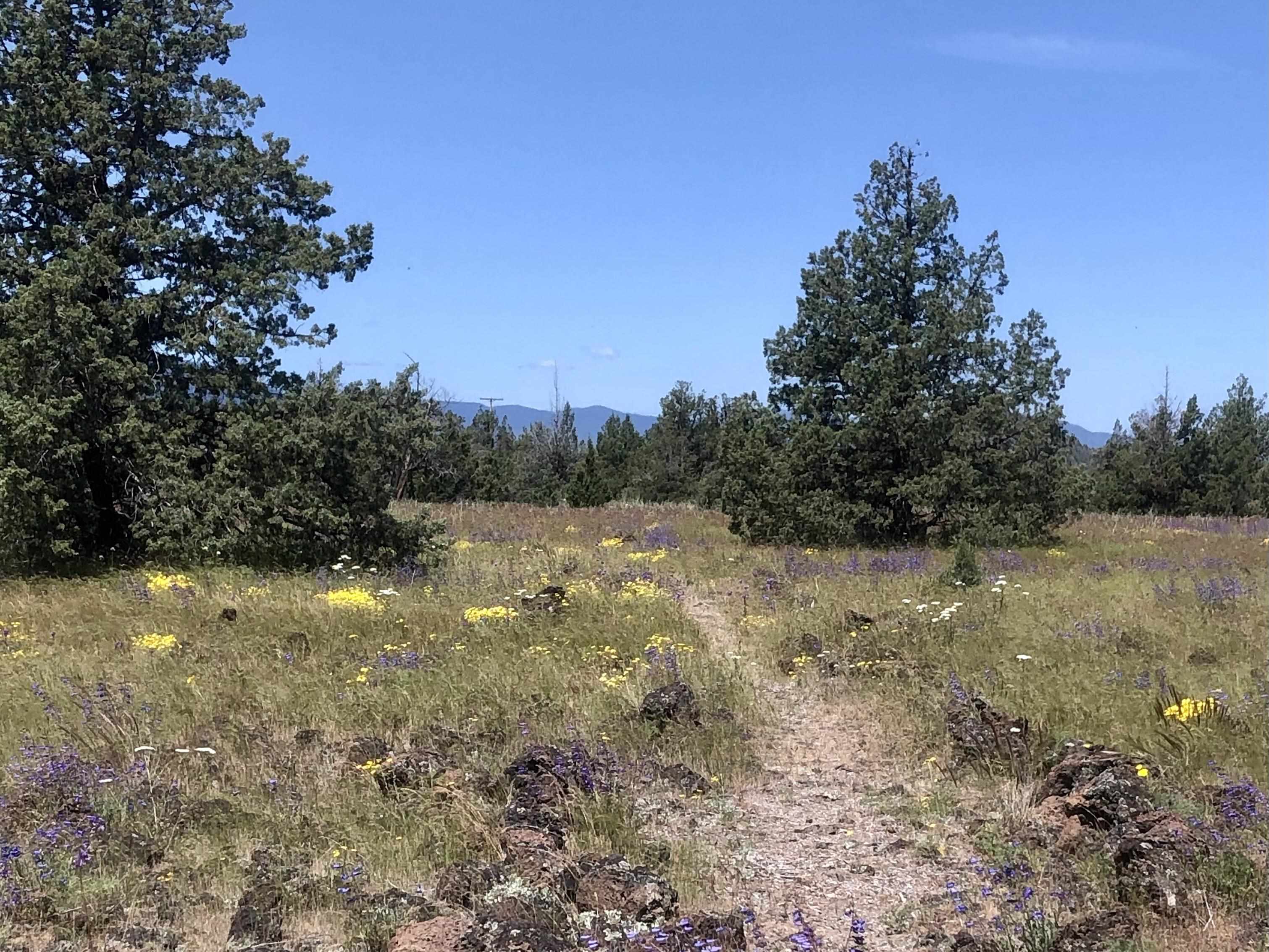 Lot 7 Sunset Dr