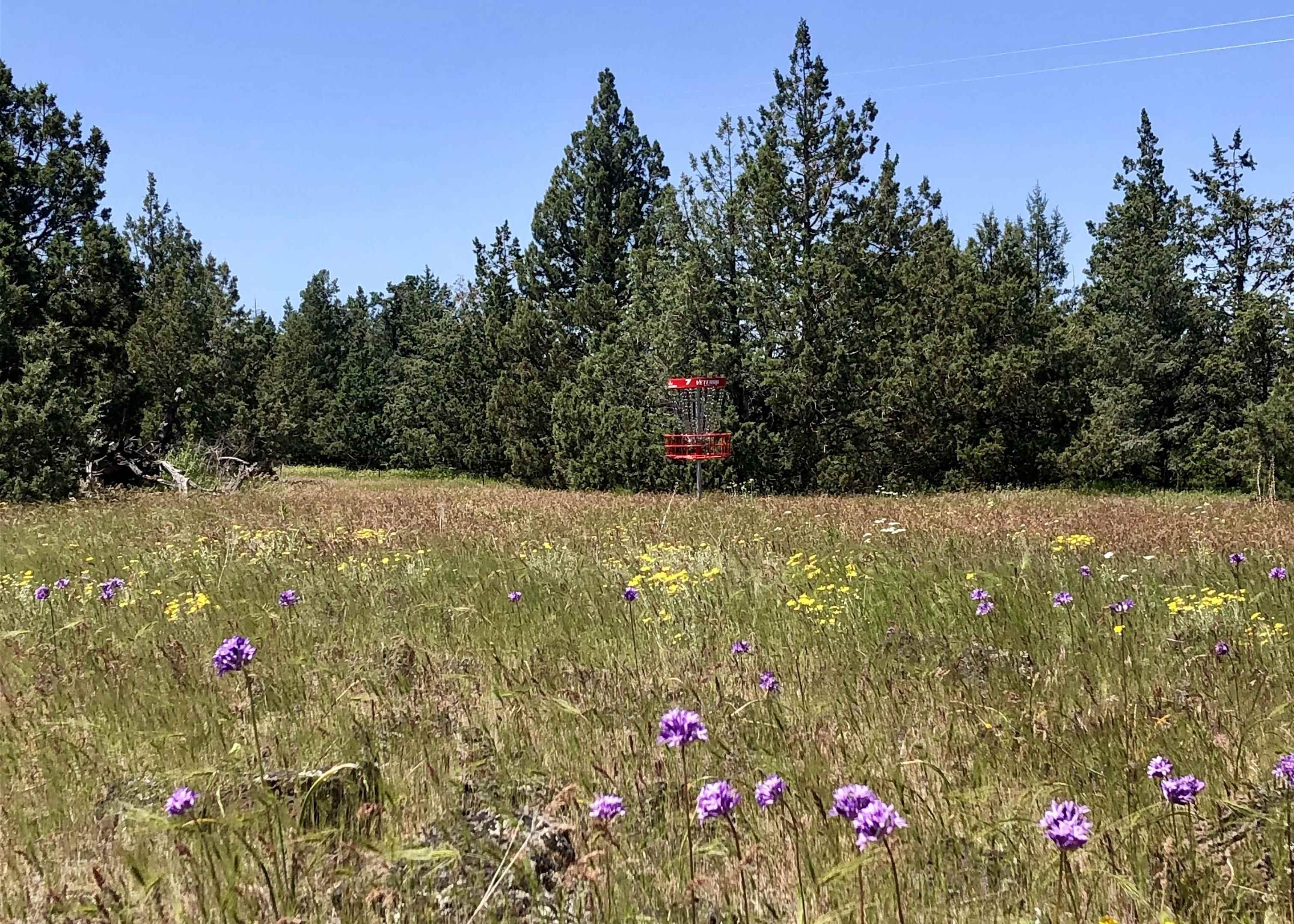 Lot 7 Sunset Dr