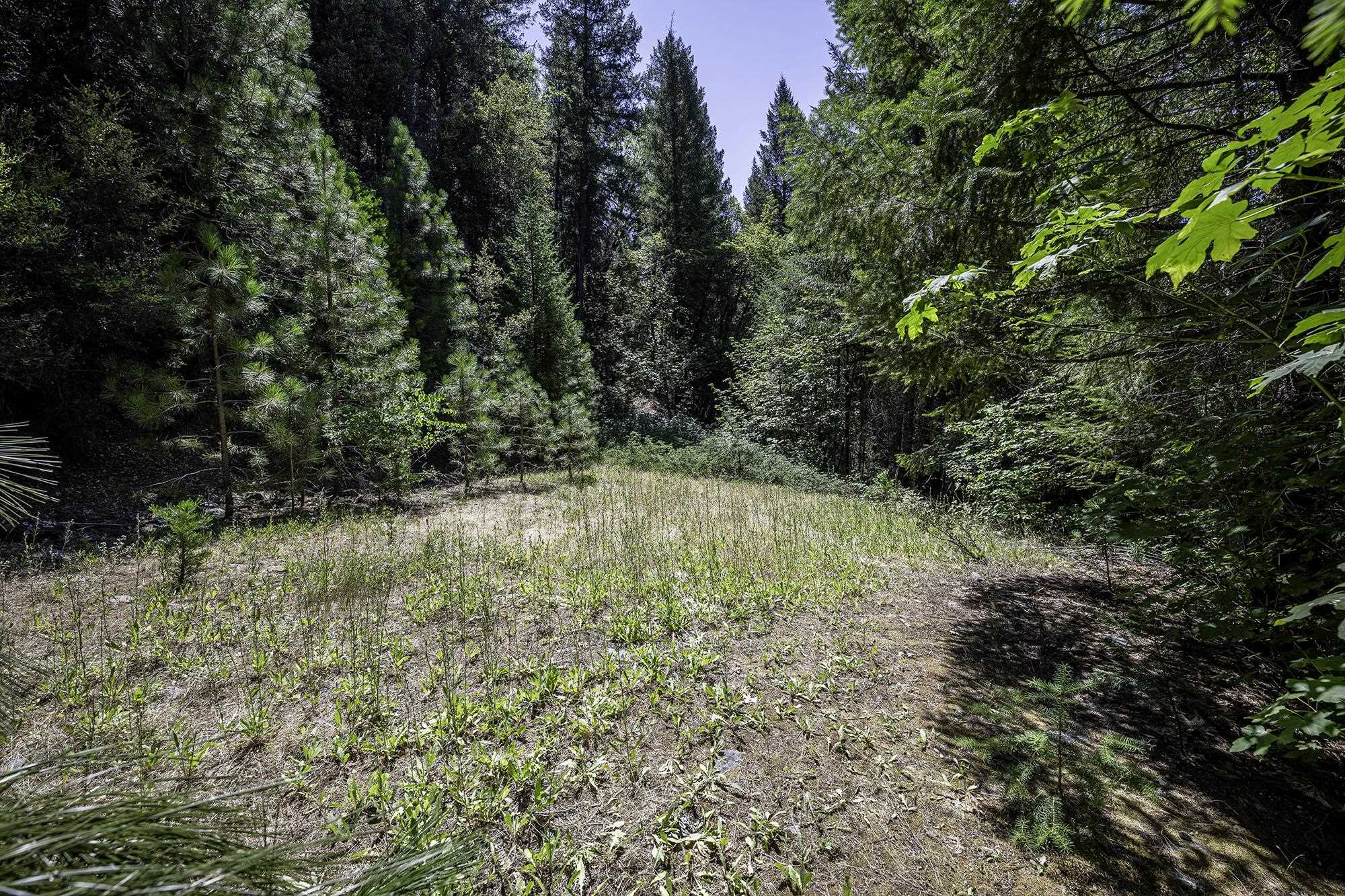 Girard Ridge