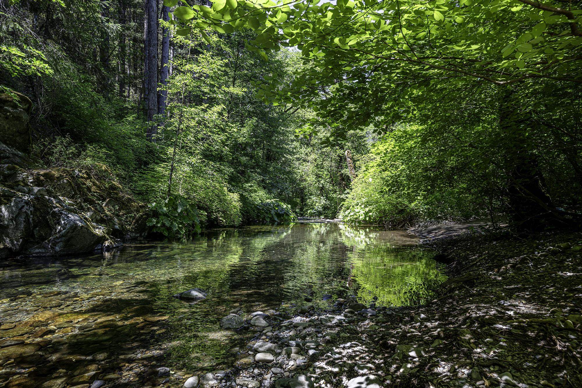 Girard Ridge