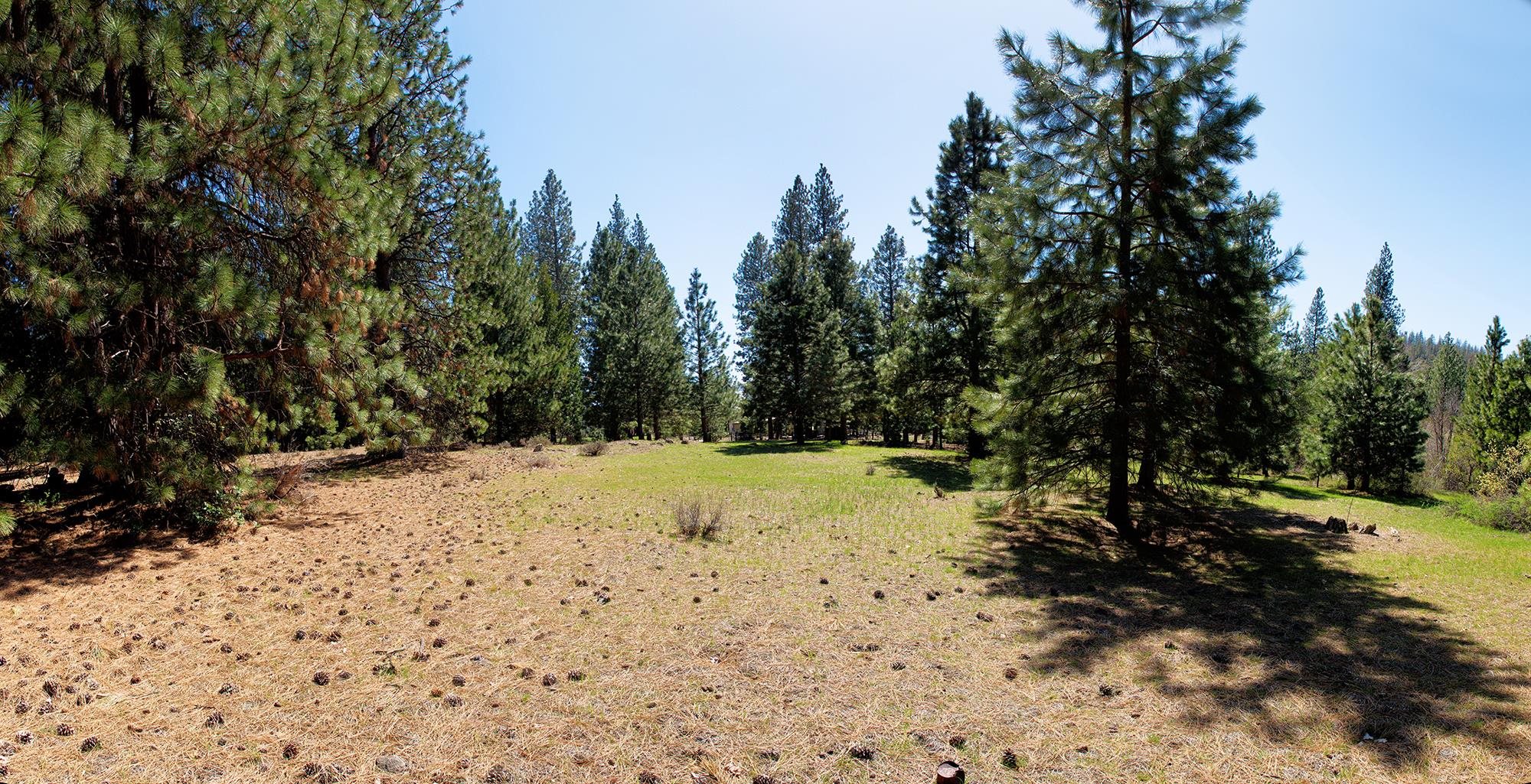 021-170-370 Alves Dr