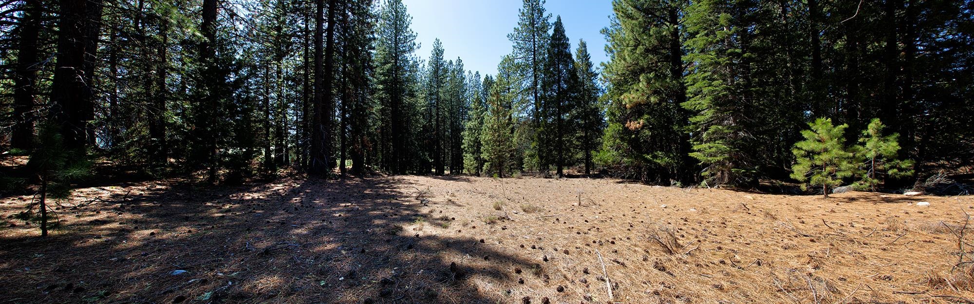 021-170-370 Alves Dr