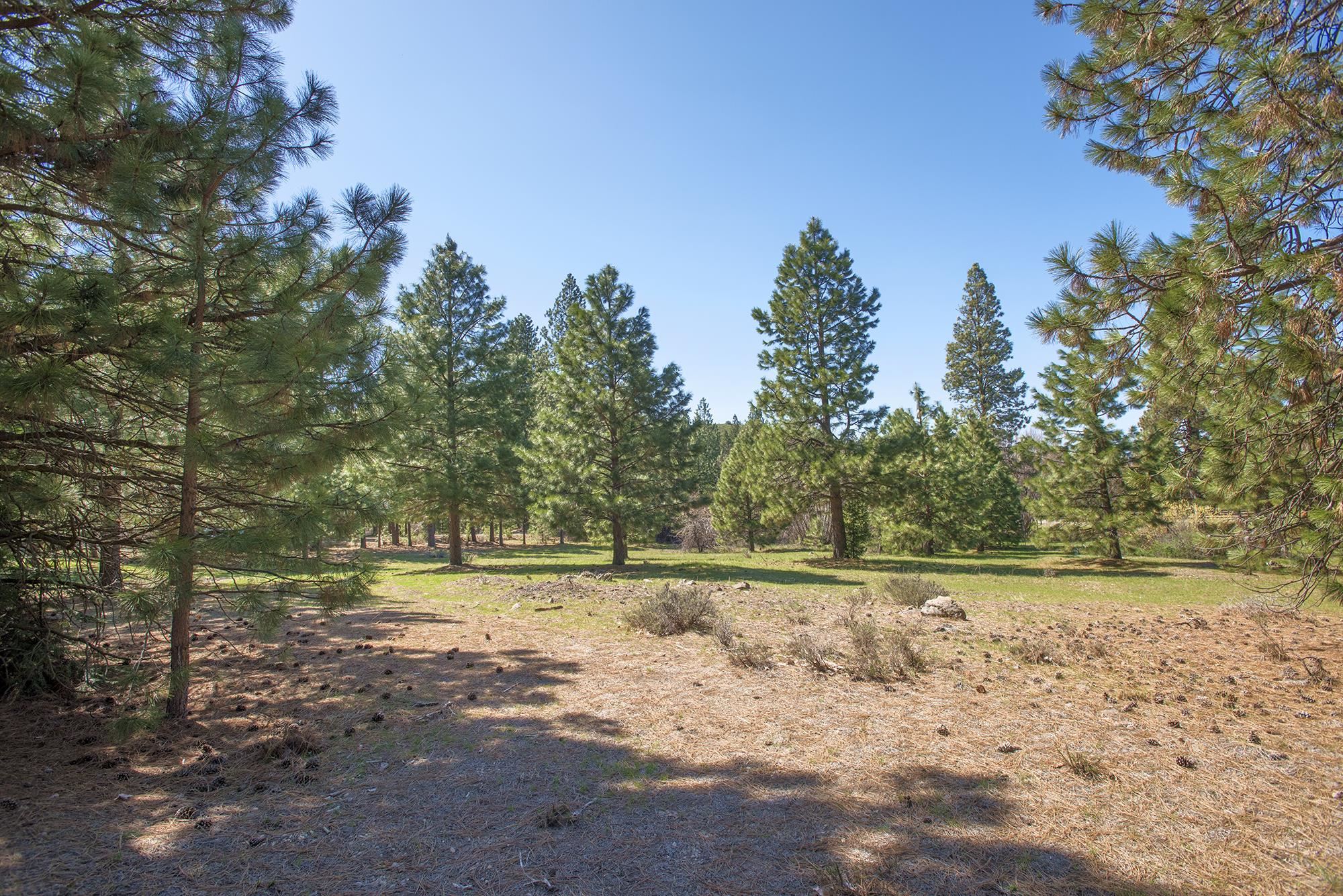 021-170-370 Alves Dr